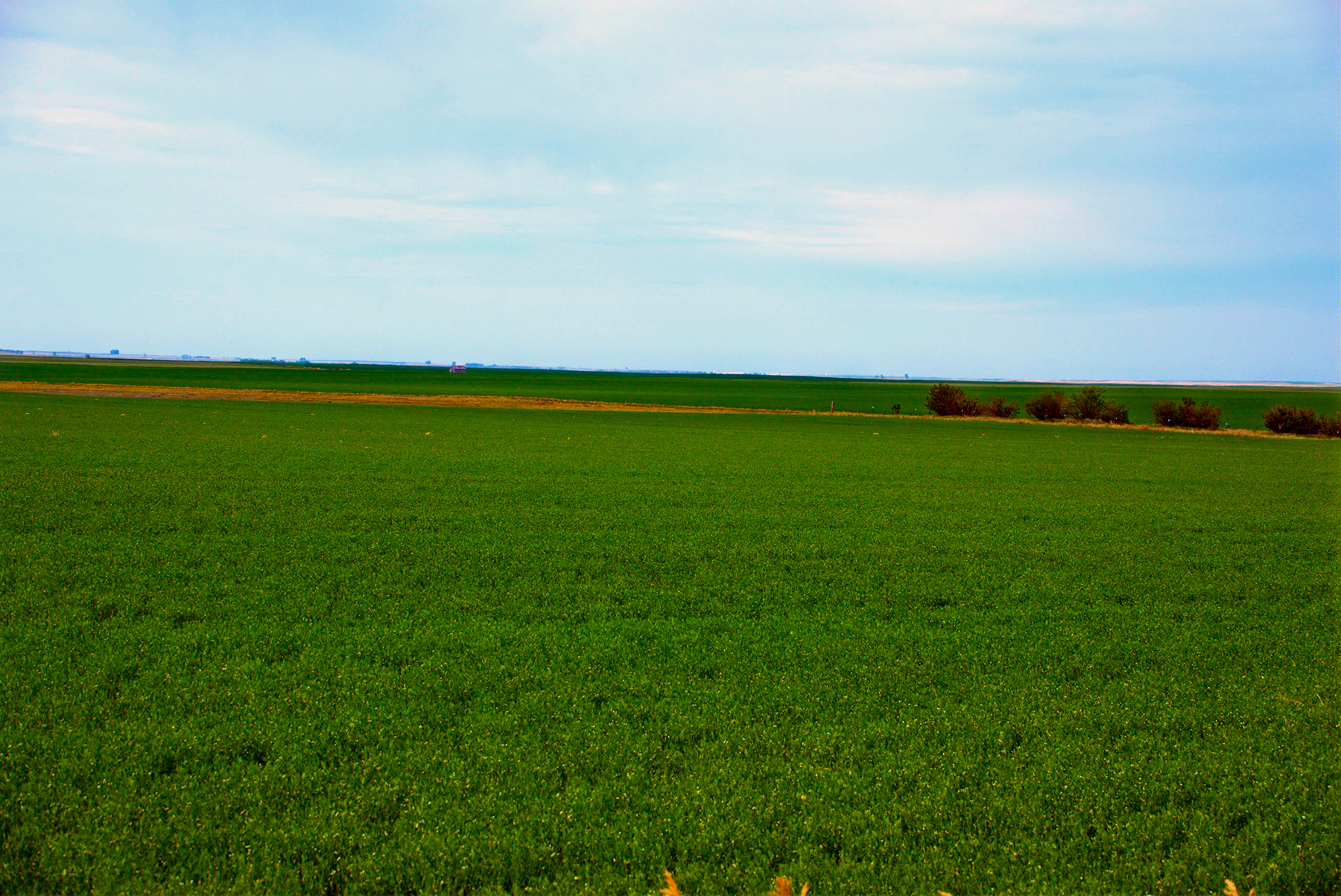 Schnitzler Farm property picture 1 of 3