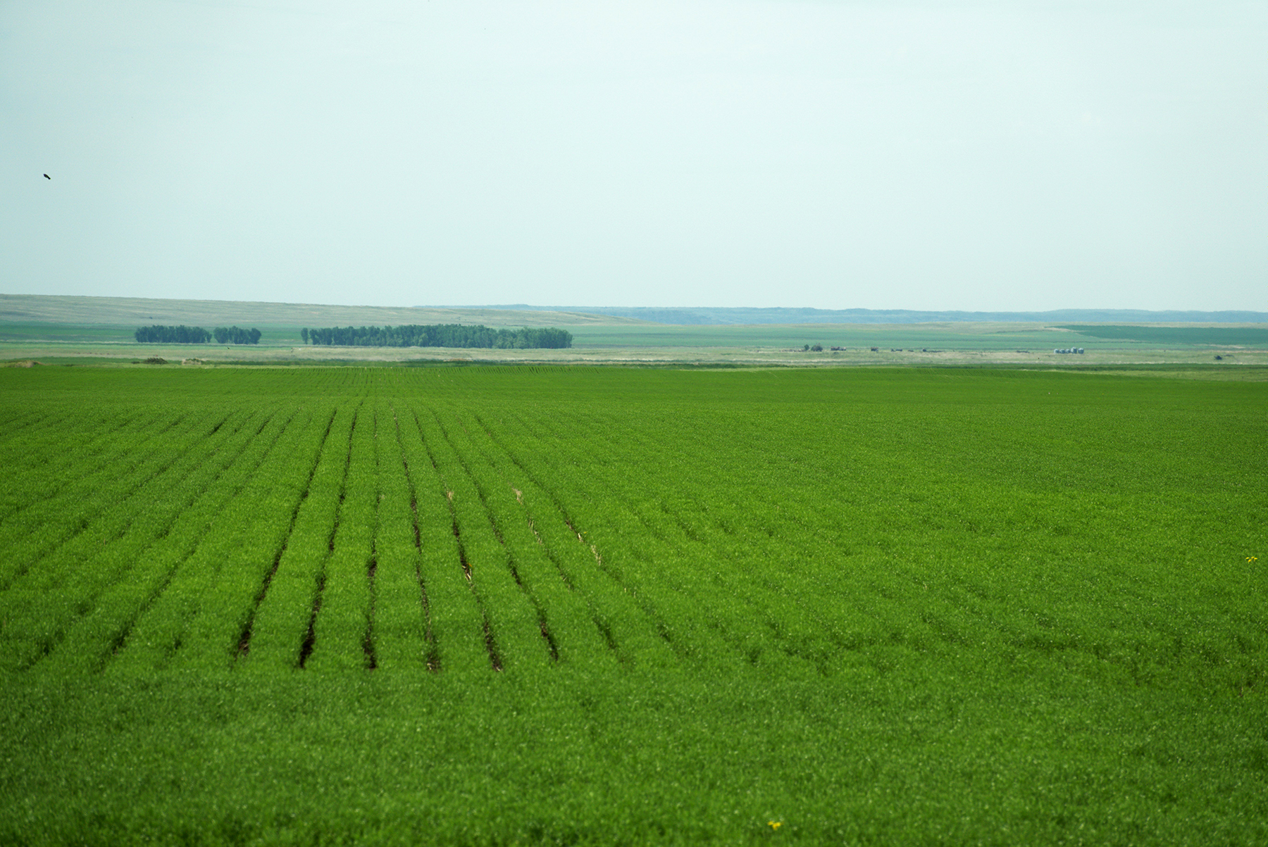 Schnitzler Farm property picture 2 of 3