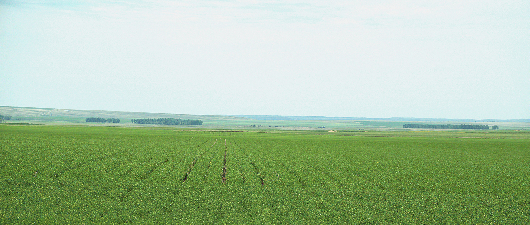 Schnitzler Farm property picture 3 of 3