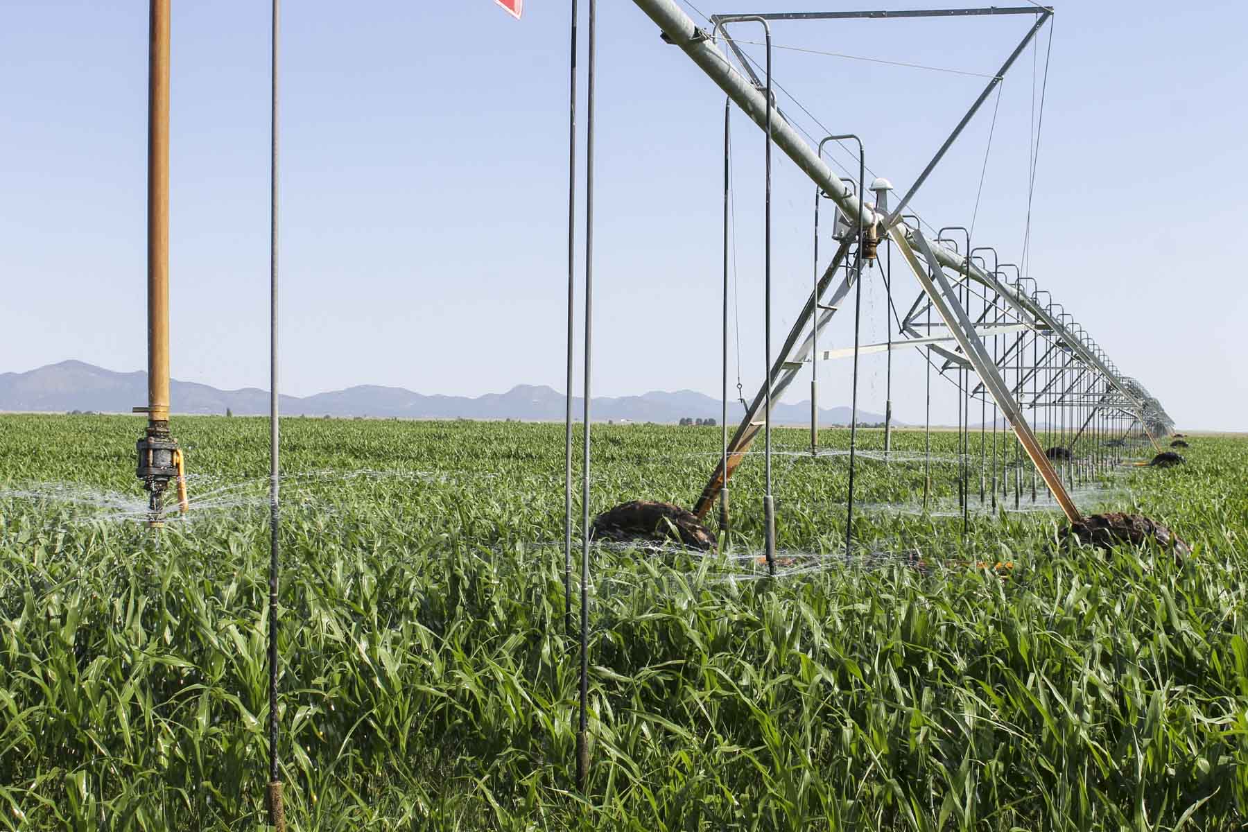 Mossberg Water property picture 2 of 4