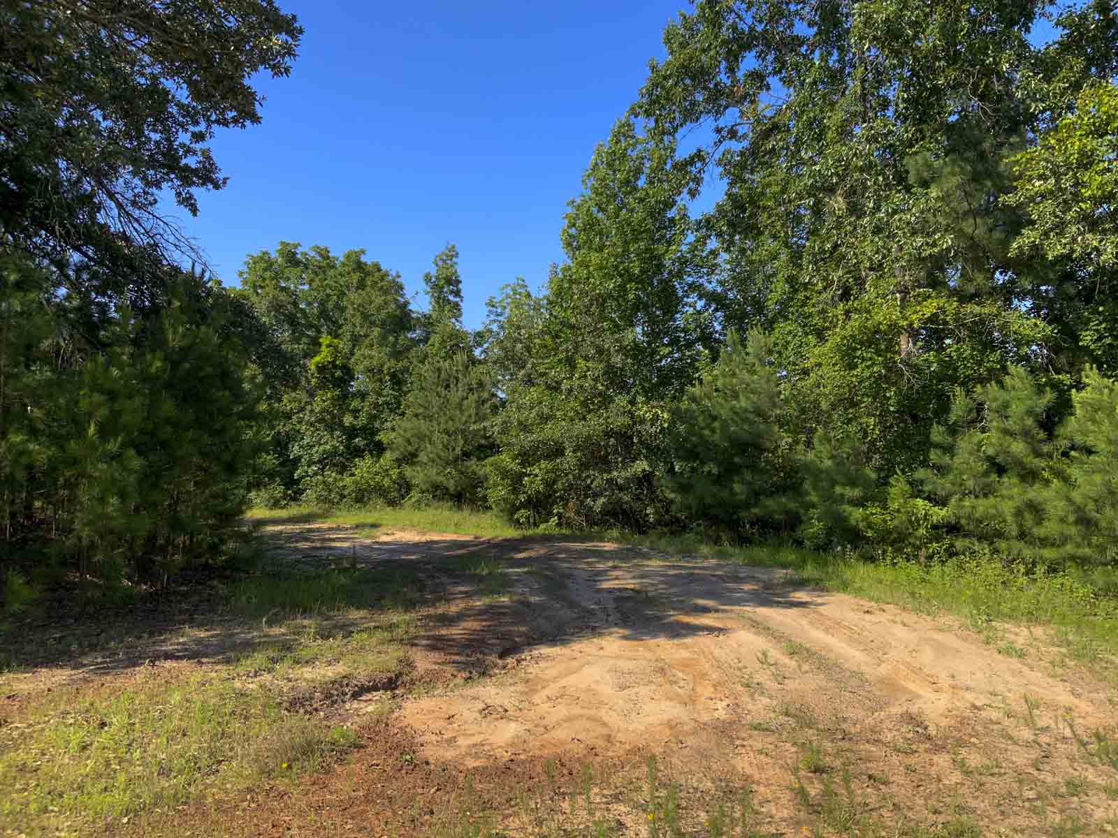 TK Ridge Ranch North property picture 5 of 20