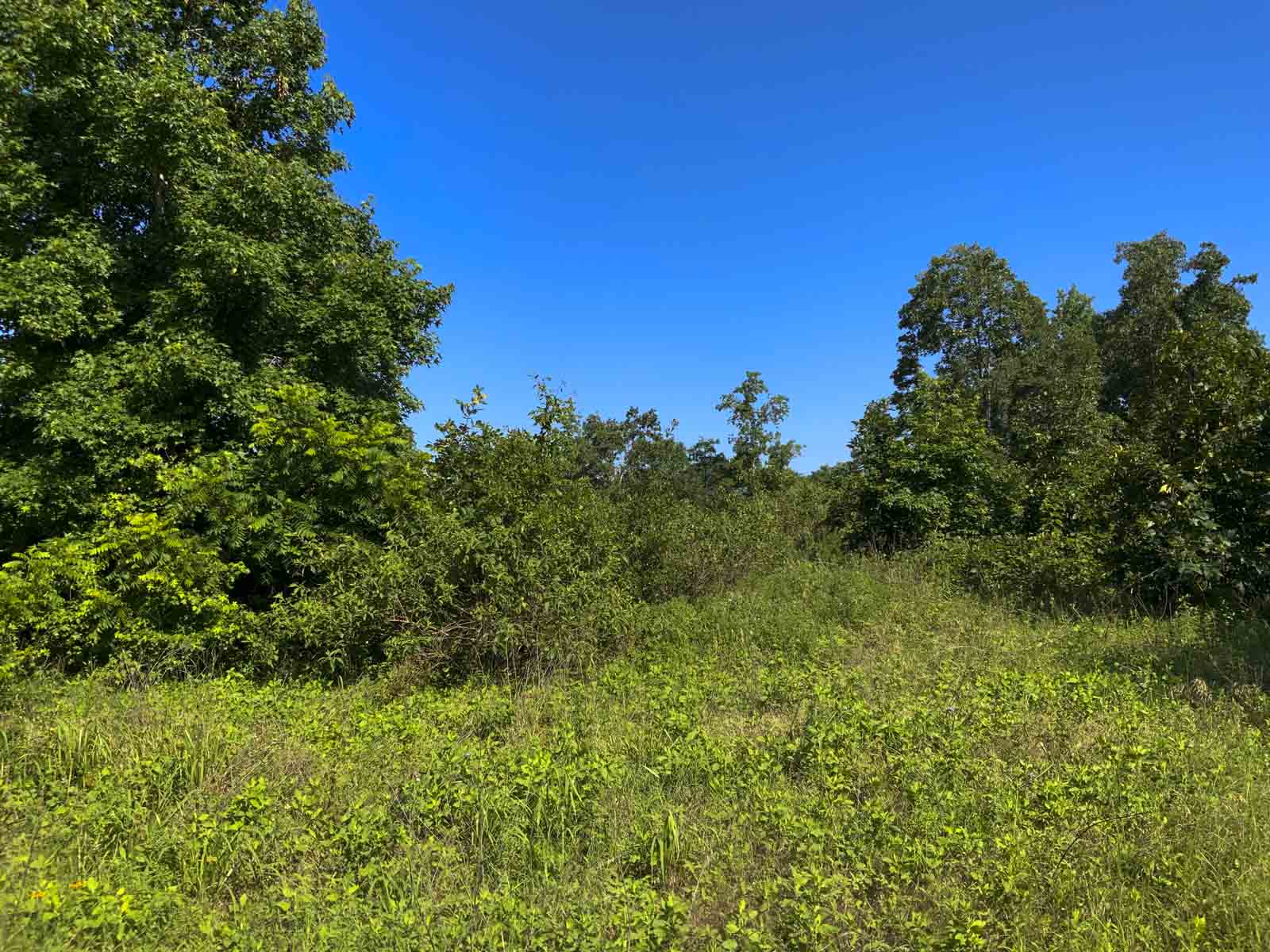 TK Ridge Ranch North property picture 9 of 20