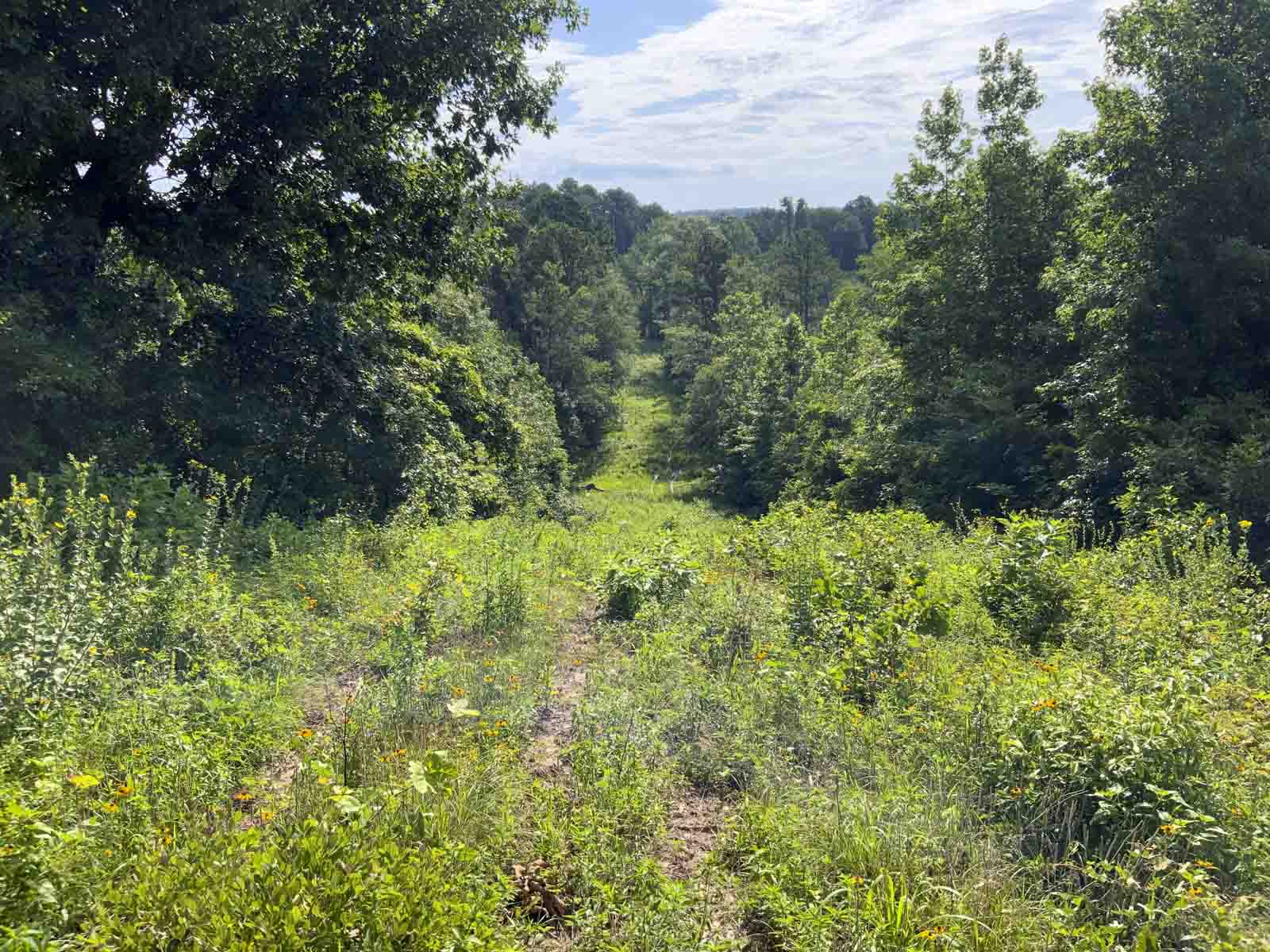 TK Ridge Ranch North property picture 15 of 20