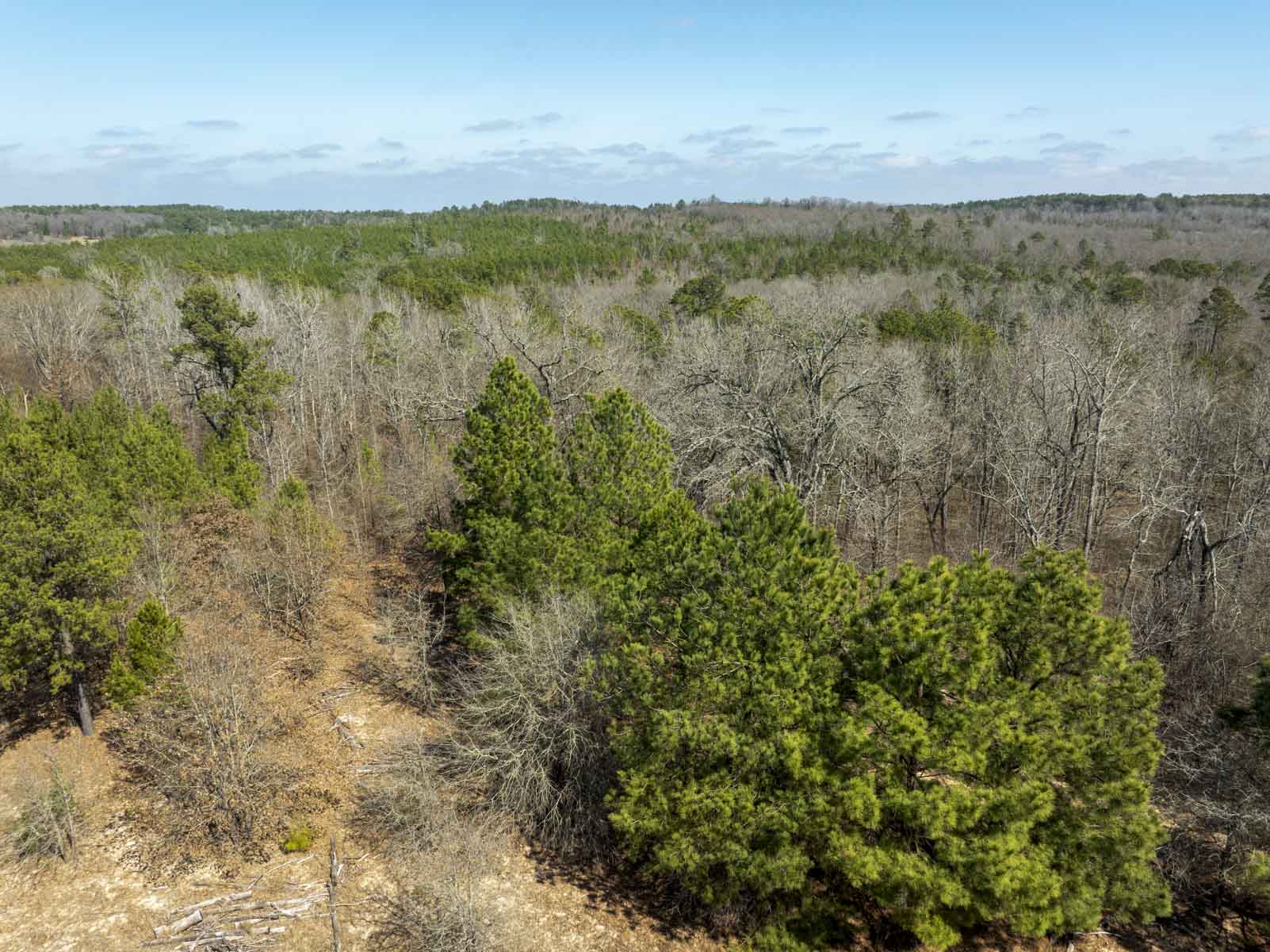 TK Ridge Ranch North property picture 6 of 20