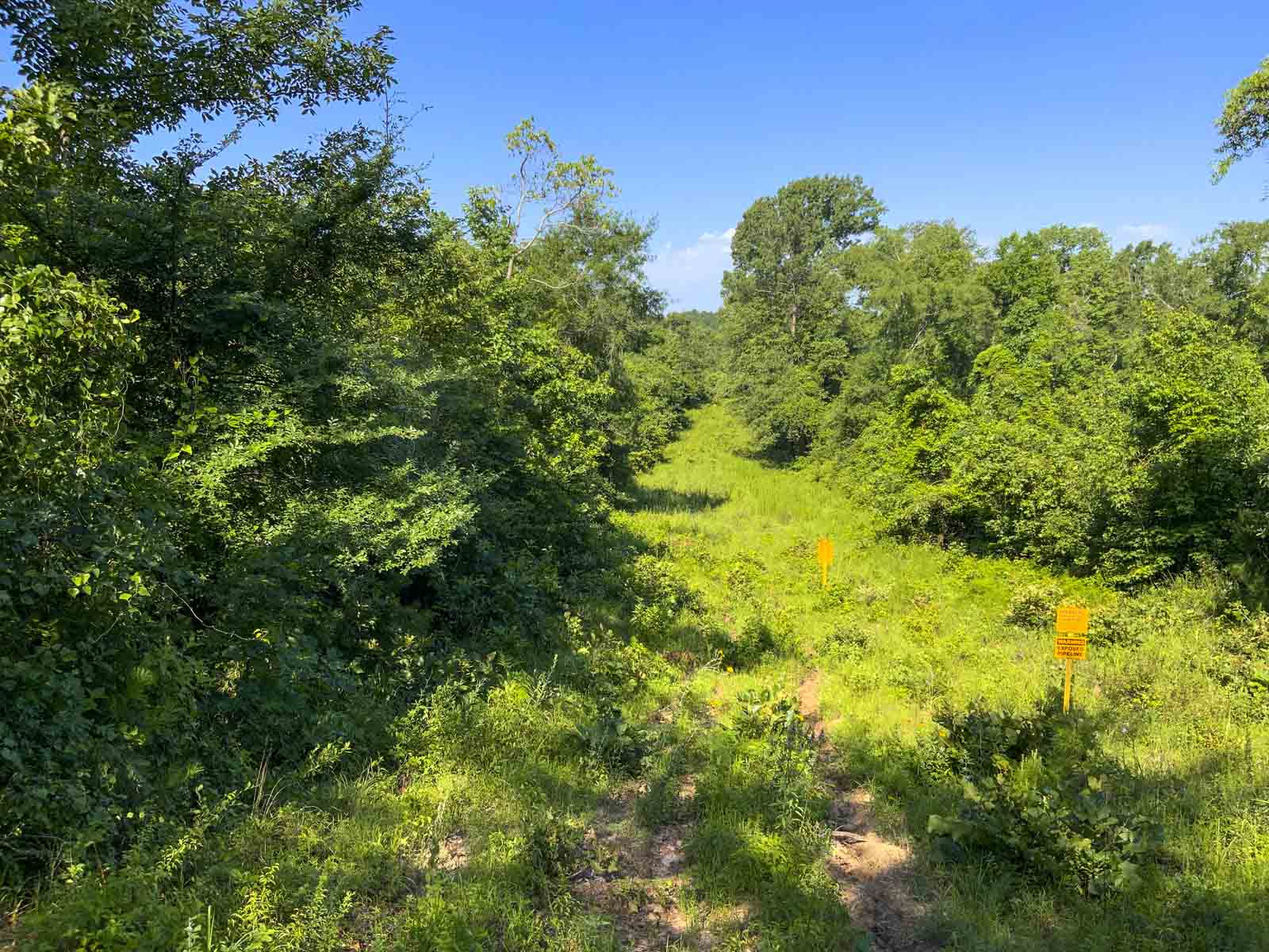 TK Ridge Ranch North property picture 7 of 20