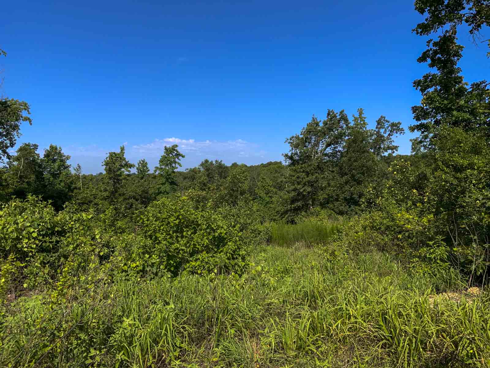 TK Ridge Ranch North property picture 13 of 20