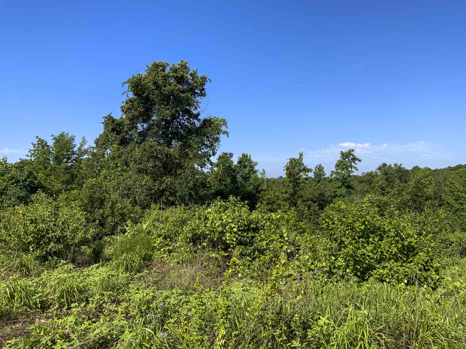 TK Ridge Ranch North property picture 19 of 20