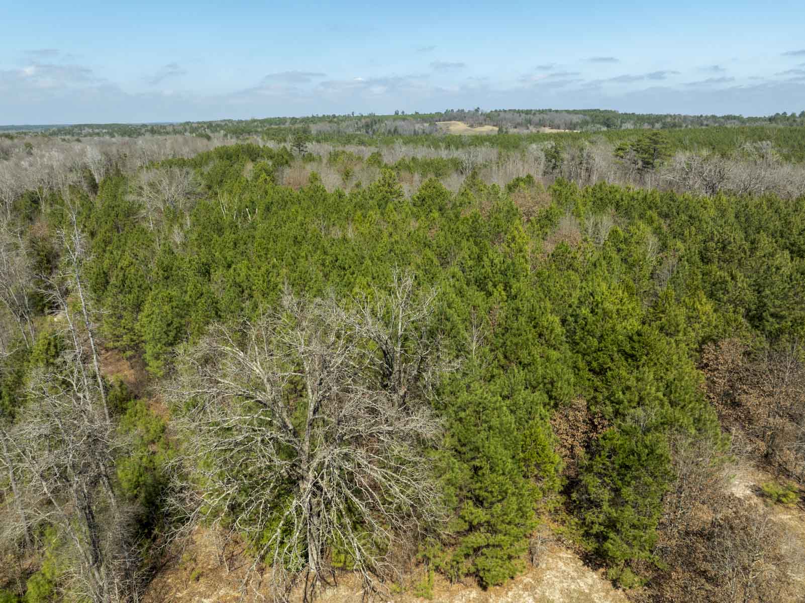 TK Ridge Ranch North property picture 10 of 20