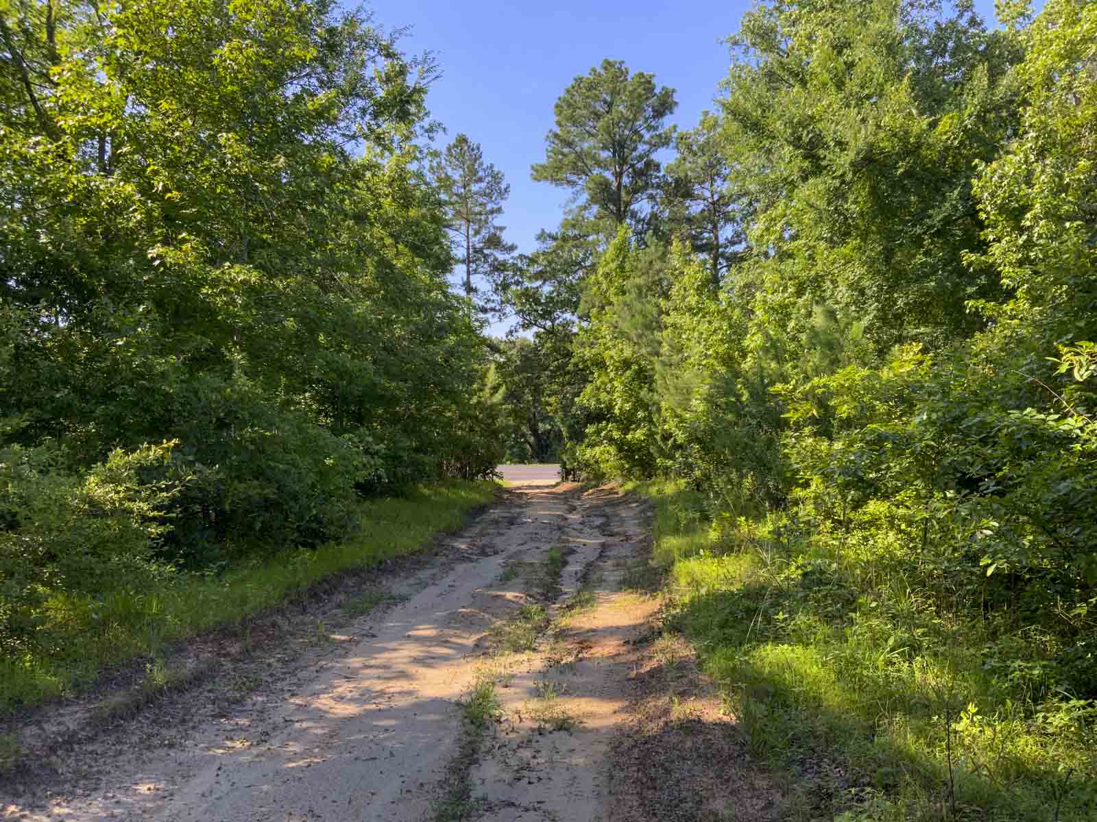 TK Ridge Ranch North property picture 12 of 20