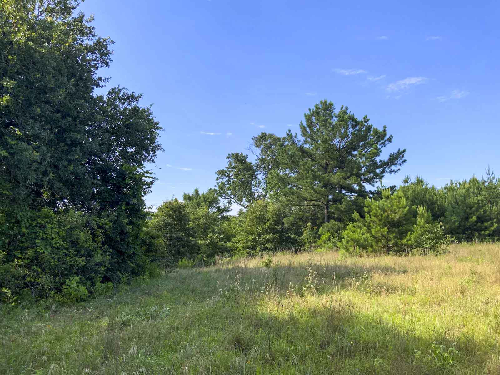 TK Ridge Ranch North property picture 16 of 20