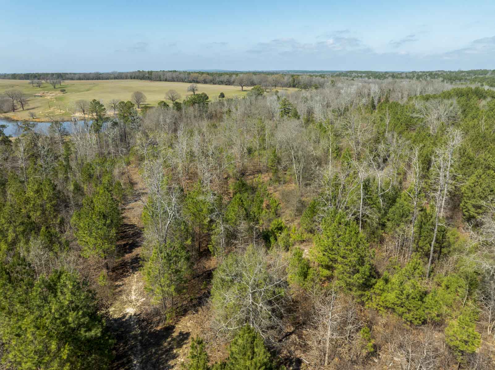 TK Ridge Ranch North property picture 17 of 20