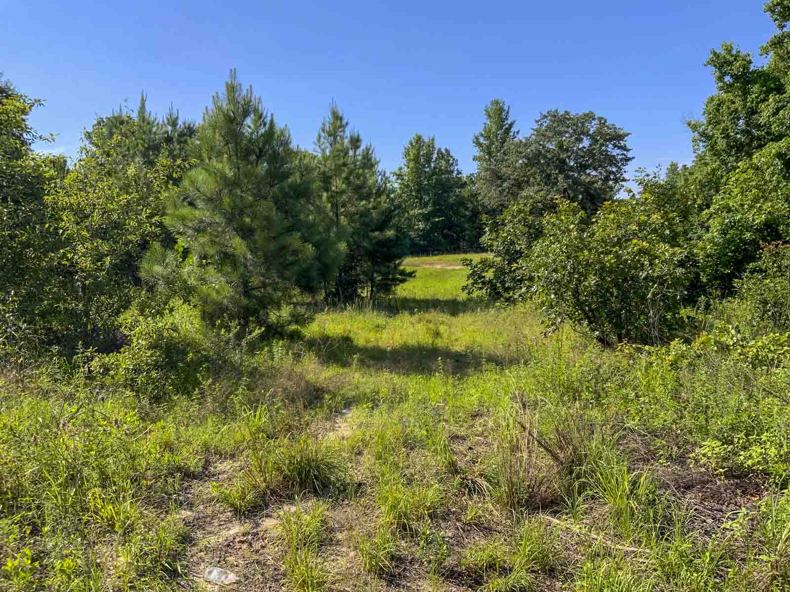 TK Ridge Ranch North property picture 20 of 20