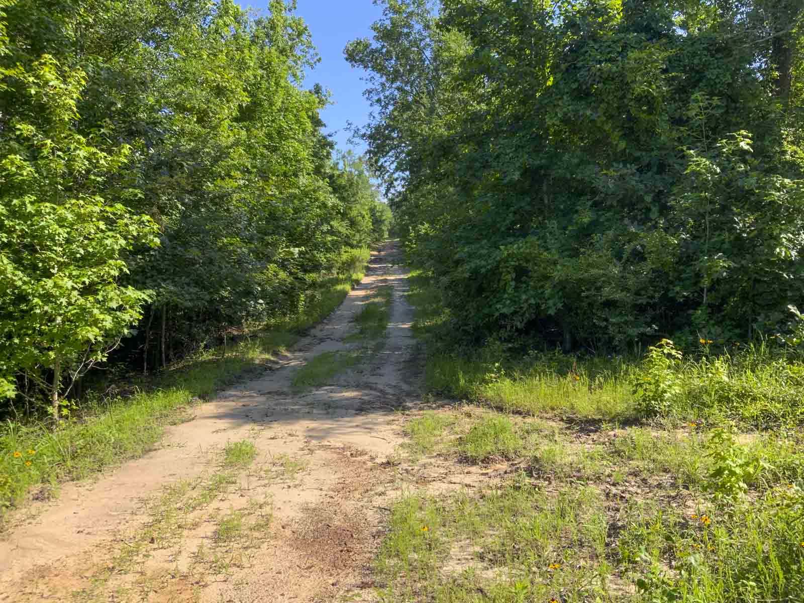 TK Ridge Ranch North property picture 8 of 20