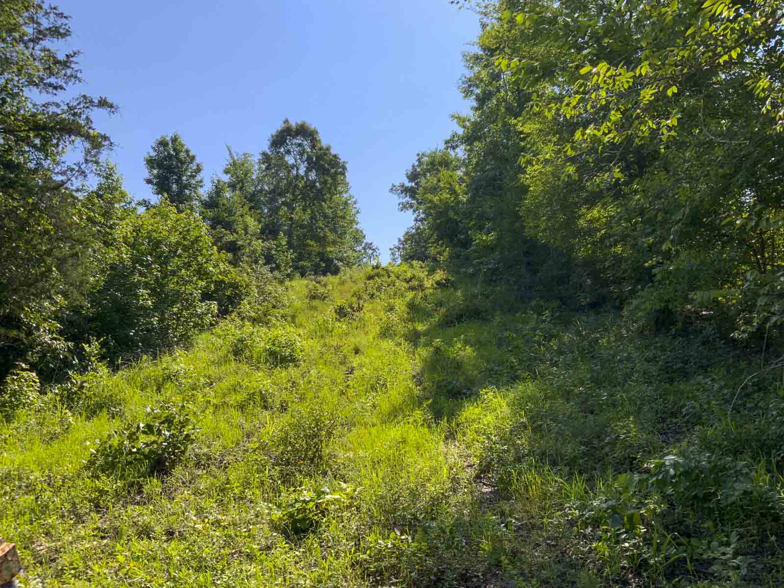 TK Ridge Ranch North property picture 4 of 20