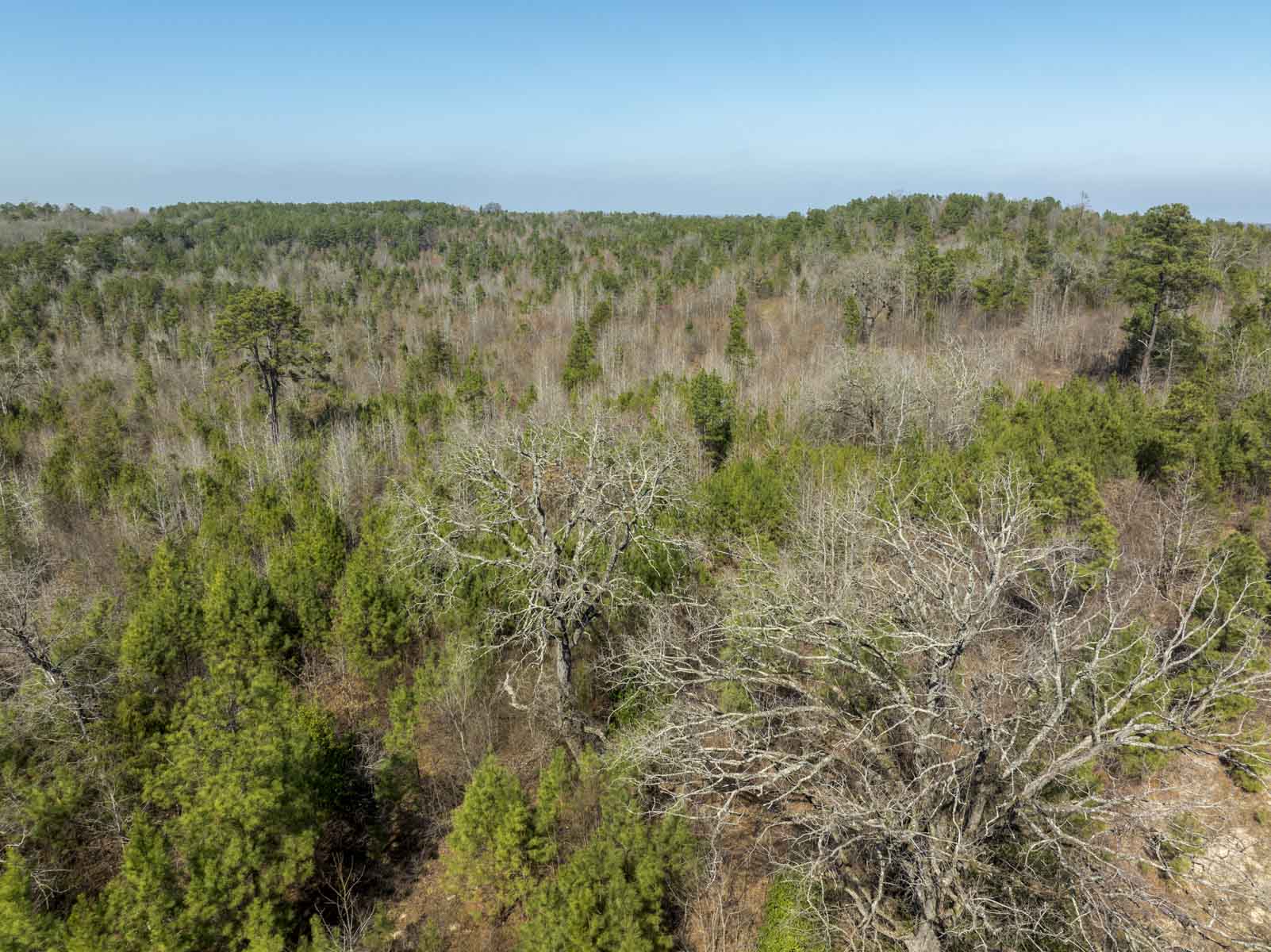 TK Ridge Ranch South property picture 6 of 20