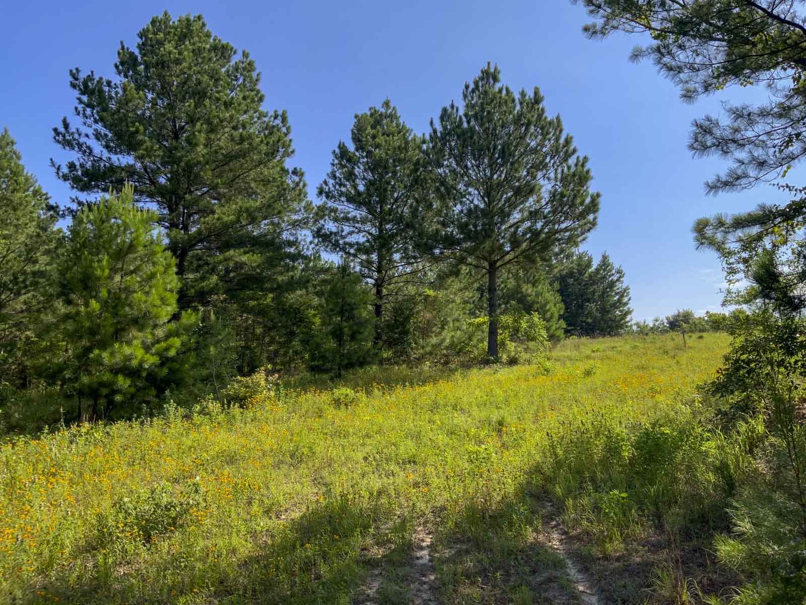 TK Ridge Ranch South property picture 17 of 20