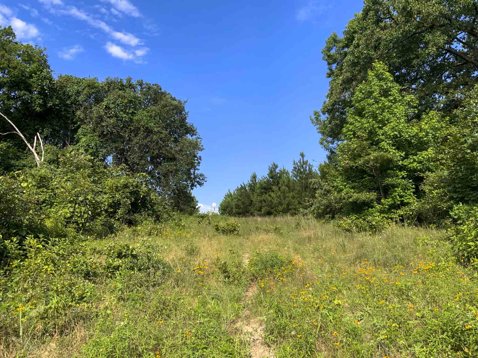 TK Ridge Ranch South property picture 12 of 20