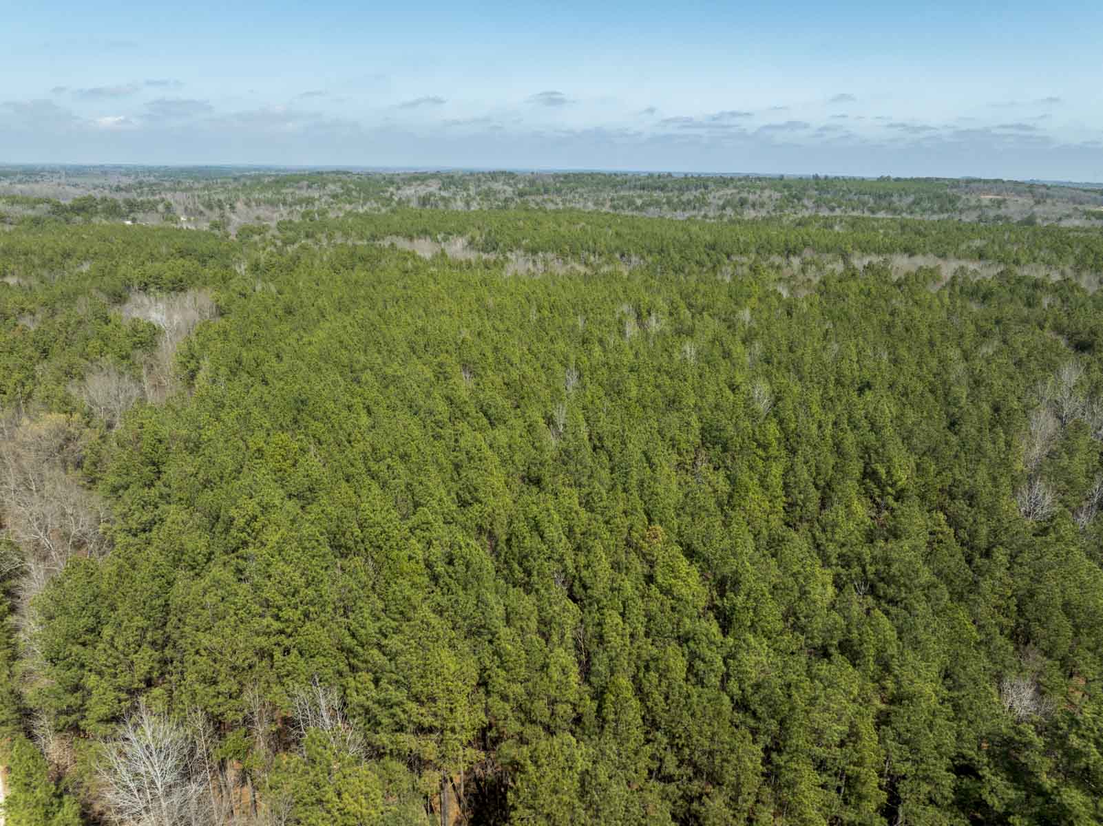 TK Ridge Ranch South property picture 2 of 20