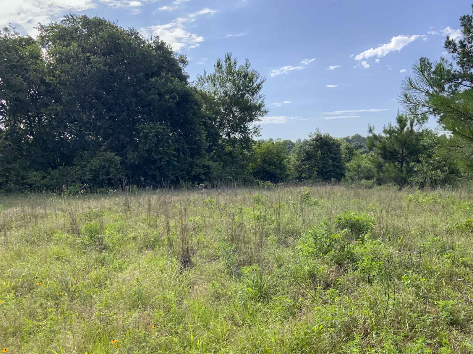 TK Ridge Ranch South property picture 10 of 20