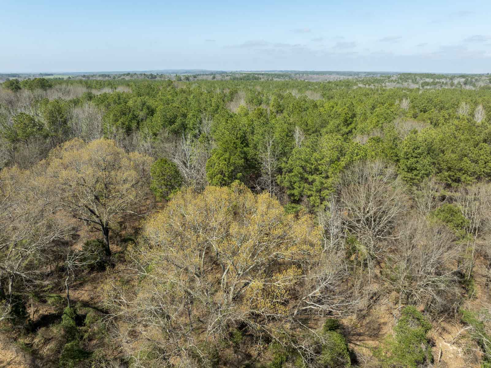 TK Ridge Ranch South property picture 9 of 20