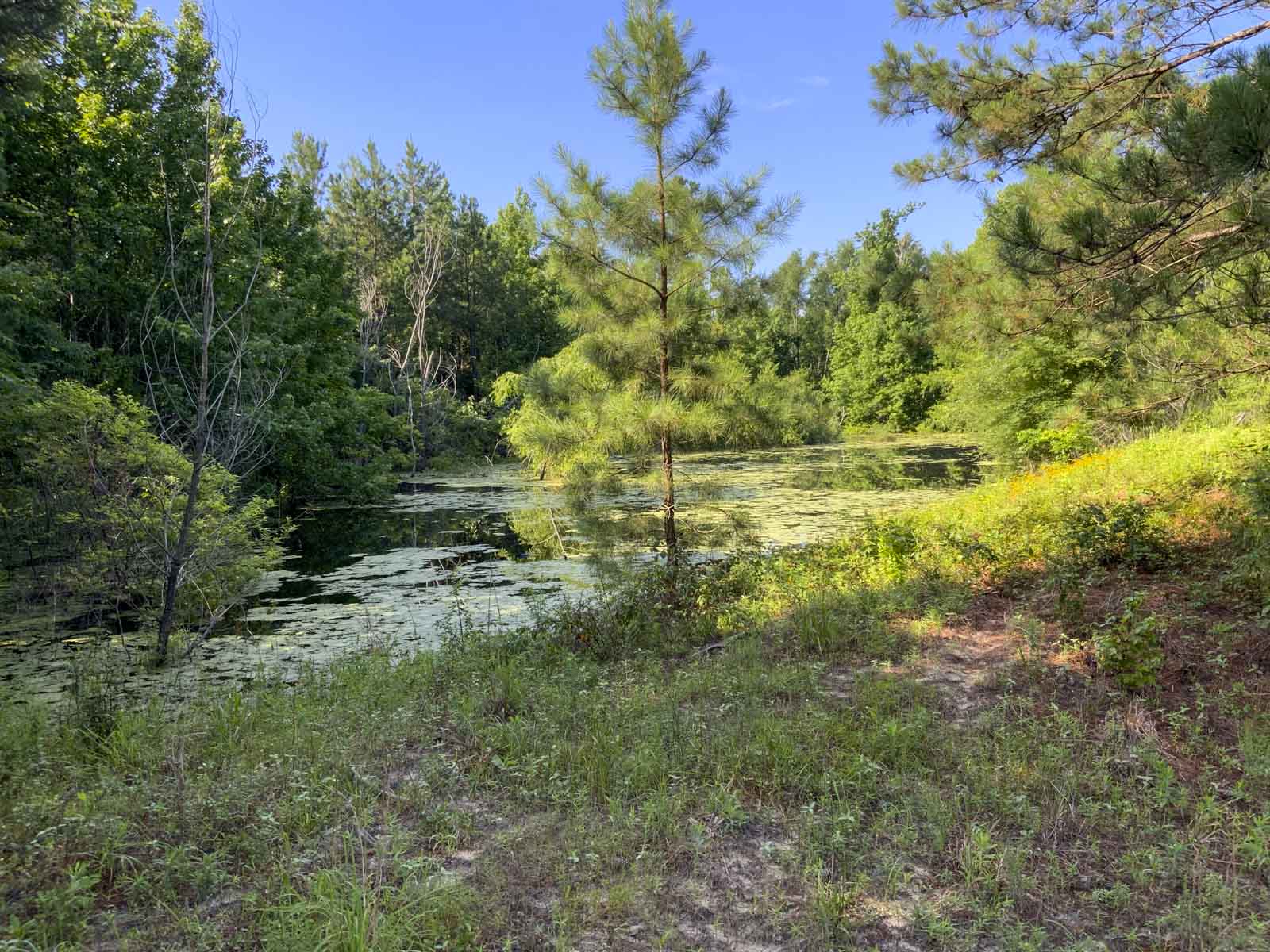 TK Ridge Ranch South property picture 18 of 20