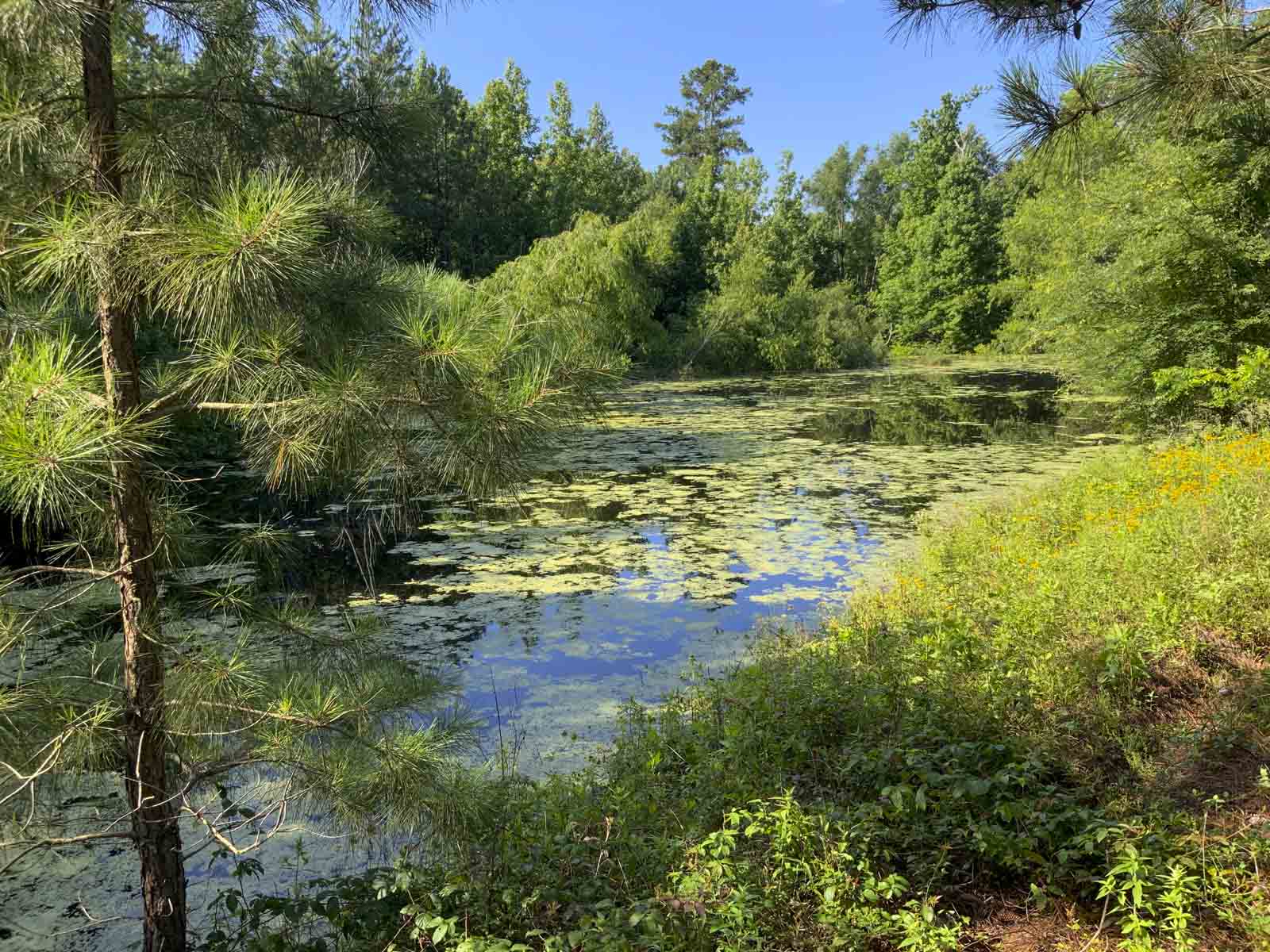 TK Ridge Ranch South property picture 16 of 20