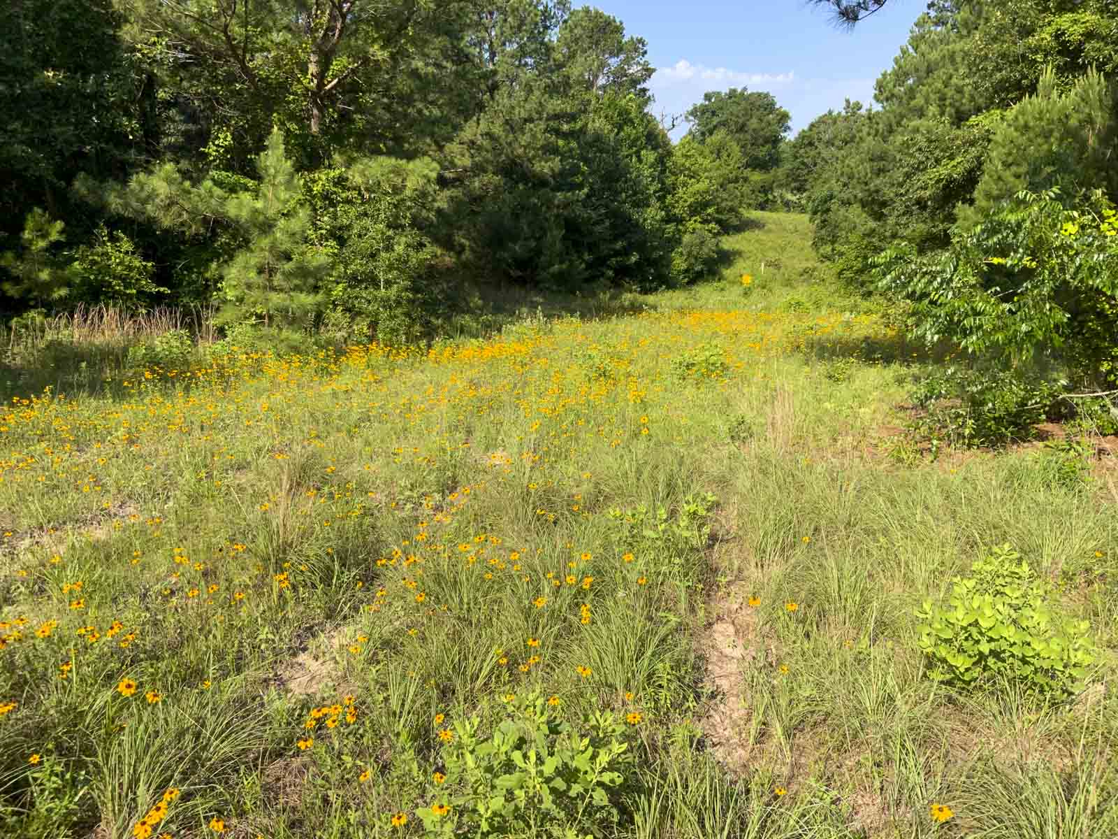 TK Ridge Ranch South property picture 14 of 20