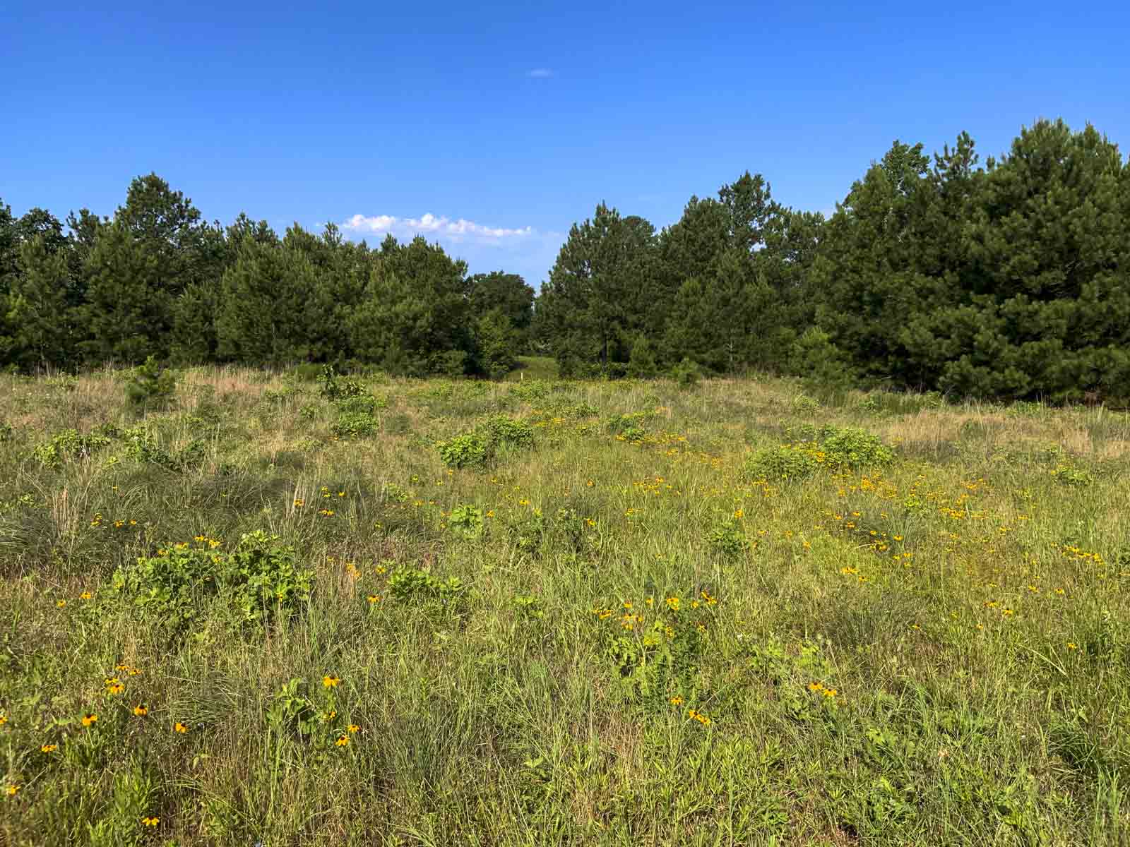 TK Ridge Ranch South property picture 13 of 20