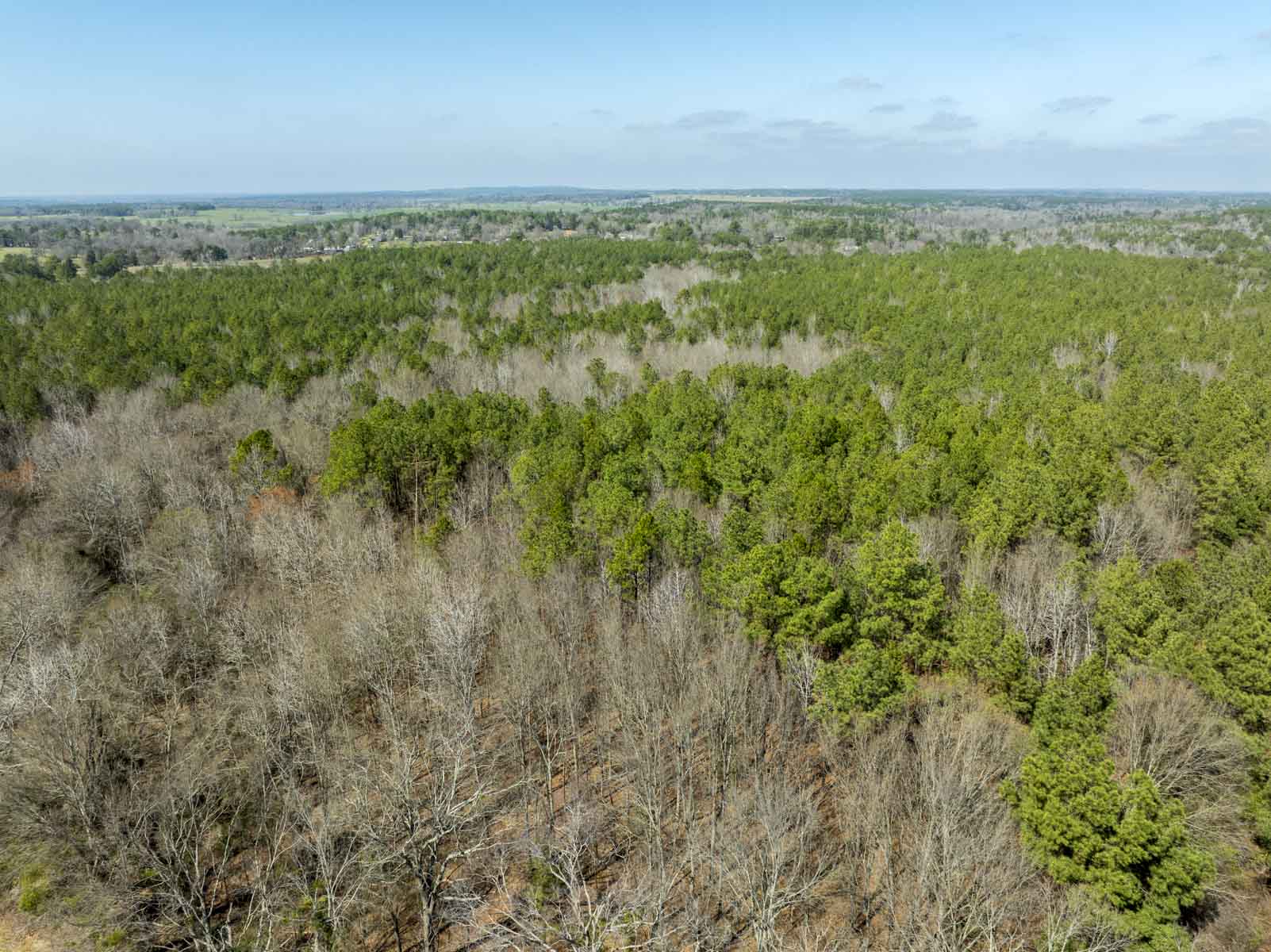 TK Ridge Ranch South property picture 8 of 20