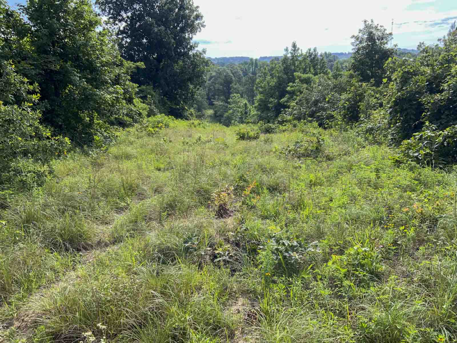 TK Ridge Ranch South property picture 11 of 20