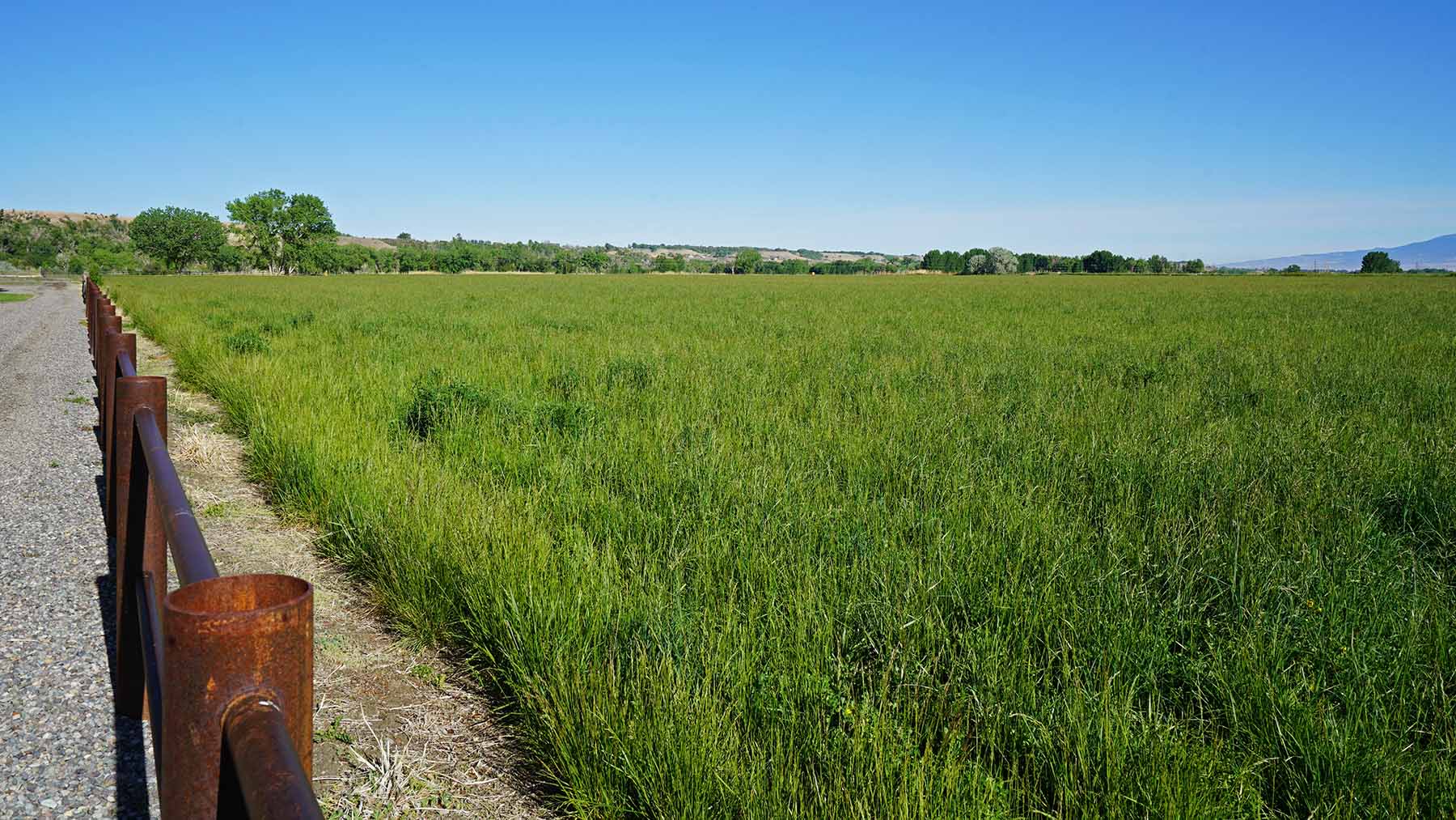Uncompahgre River Farm property picture 18 of 32