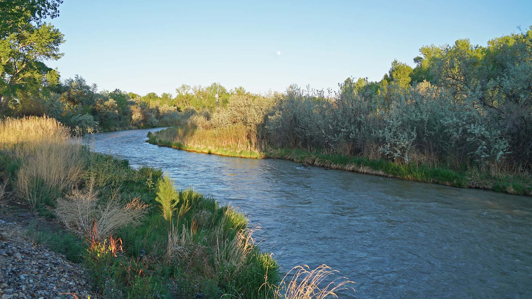 Uncompahgre River Farm property picture 12 of 32