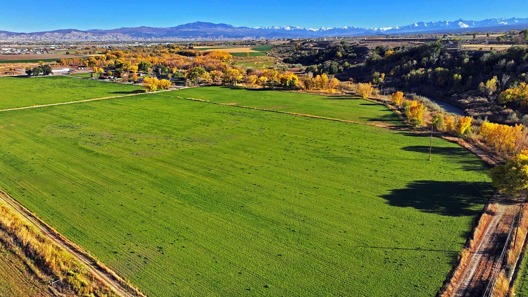 Uncompahgre River Farm property picture 6 of 32