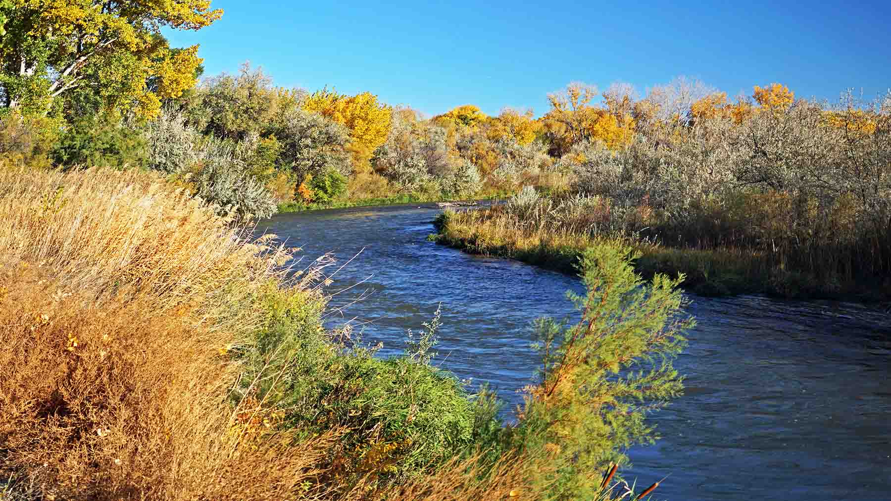 Uncompahgre River Farm property picture 5 of 32