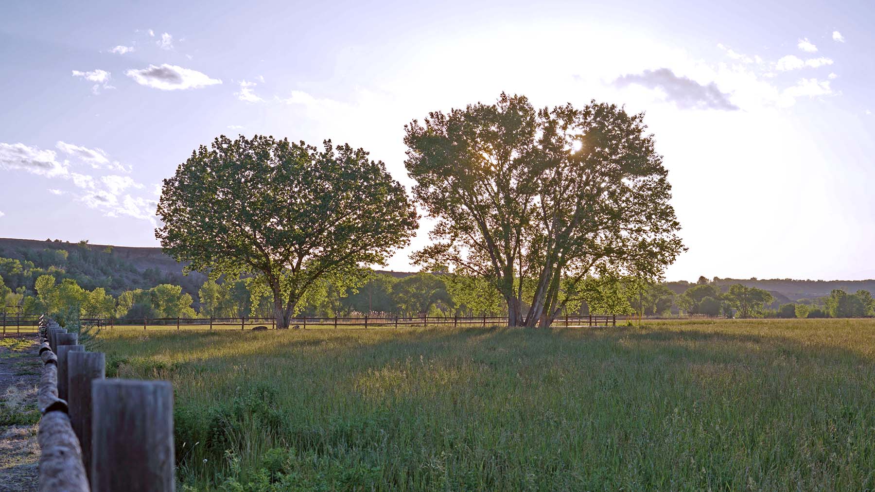 Uncompahgre River Farm property picture 19 of 32