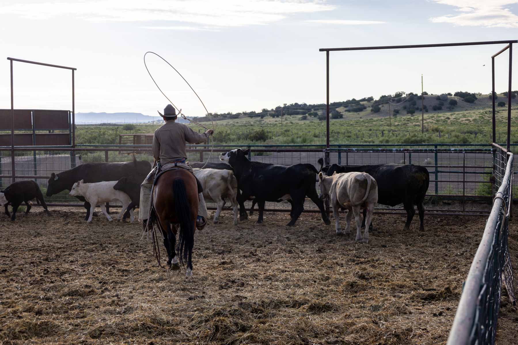 Great Western Ranch property picture 108 of 144