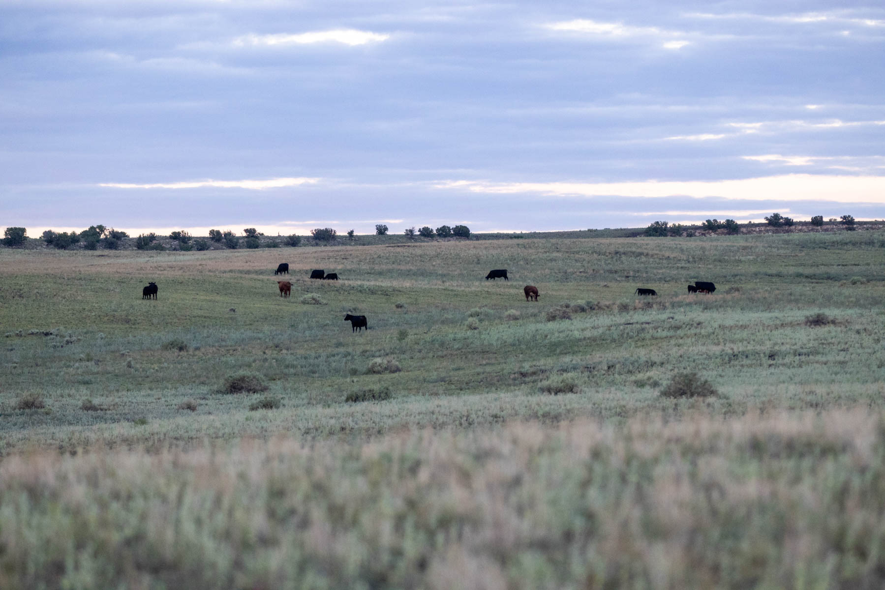 Great Western Ranch property picture 118 of 144