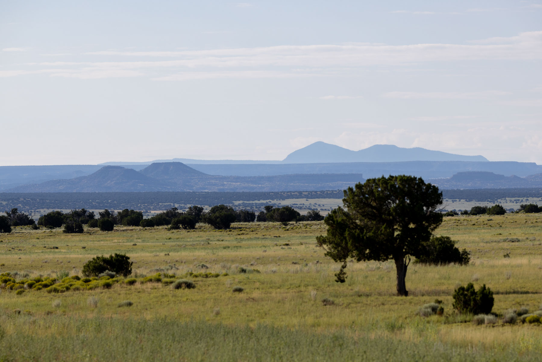 Great Western Ranch property picture 129 of 144