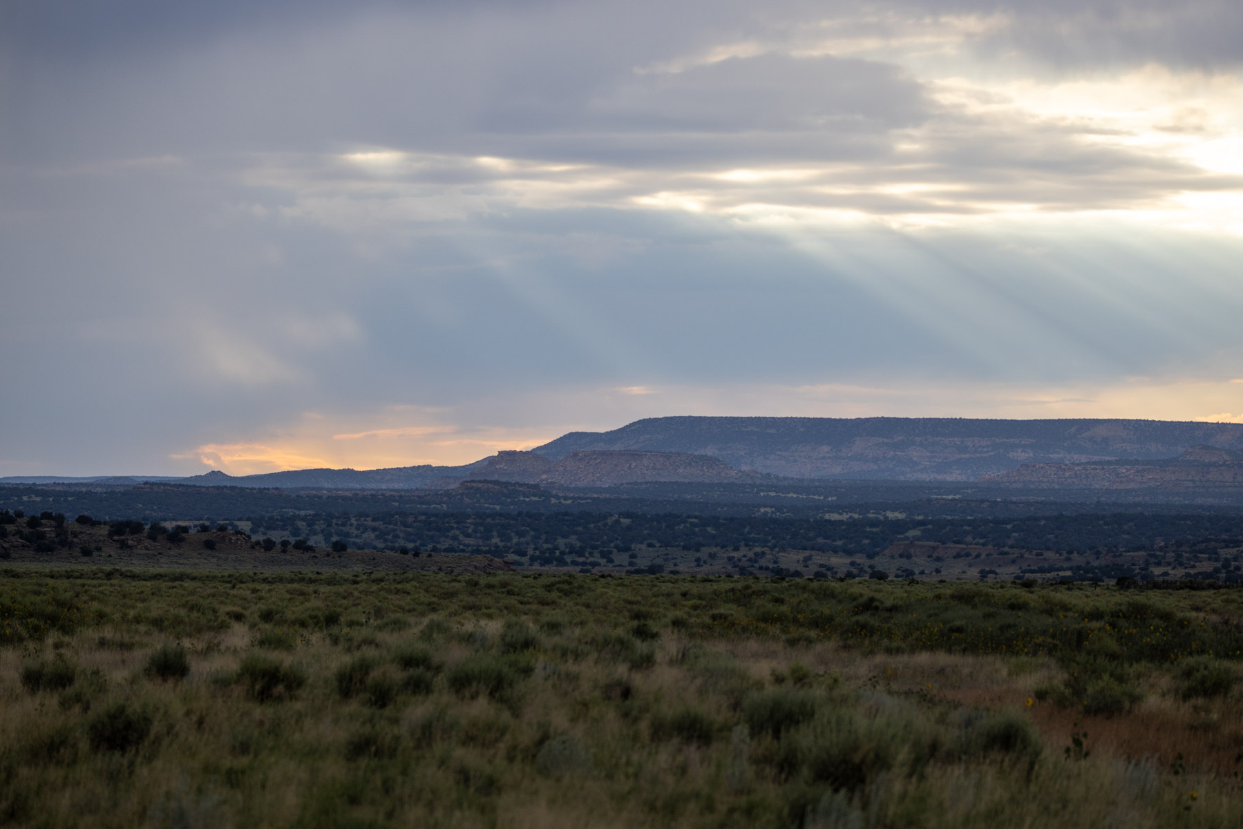 Great Western Ranch property picture 115 of 144