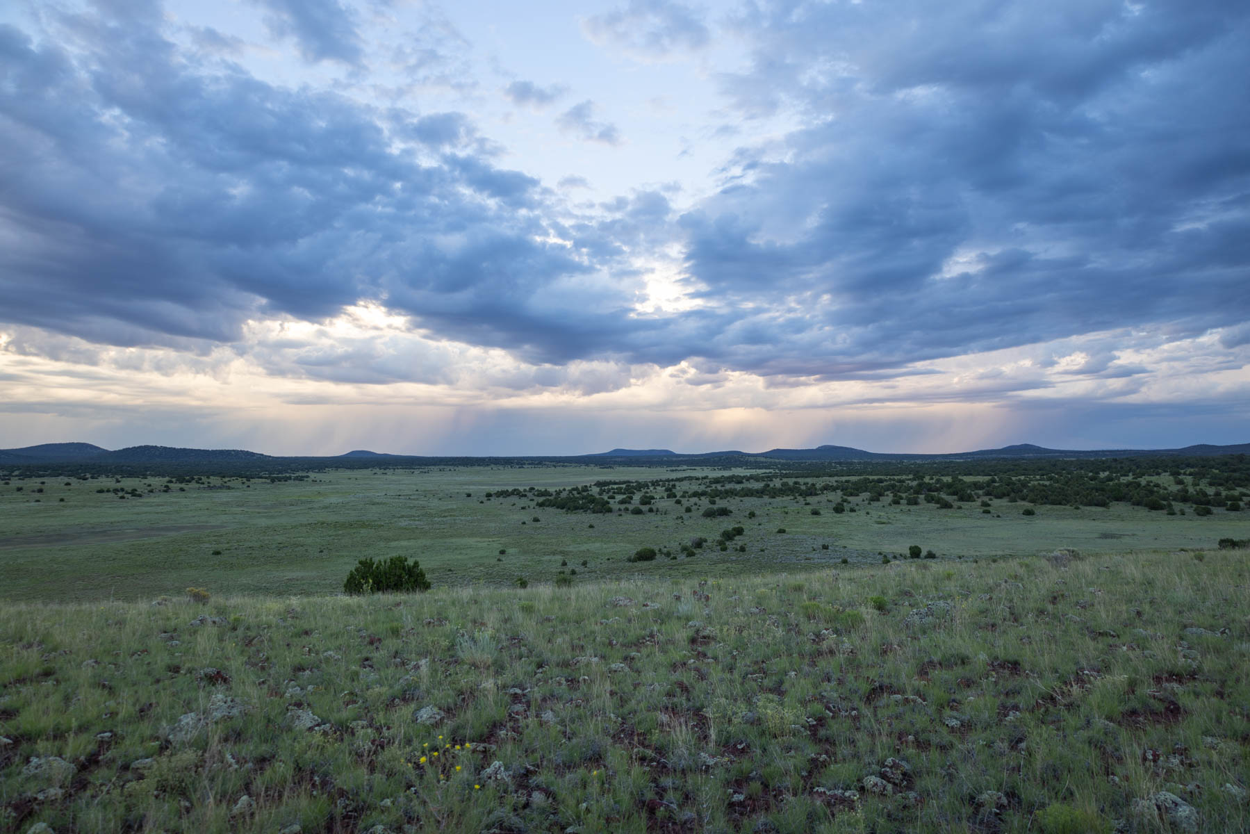 Great Western Ranch property picture 102 of 144