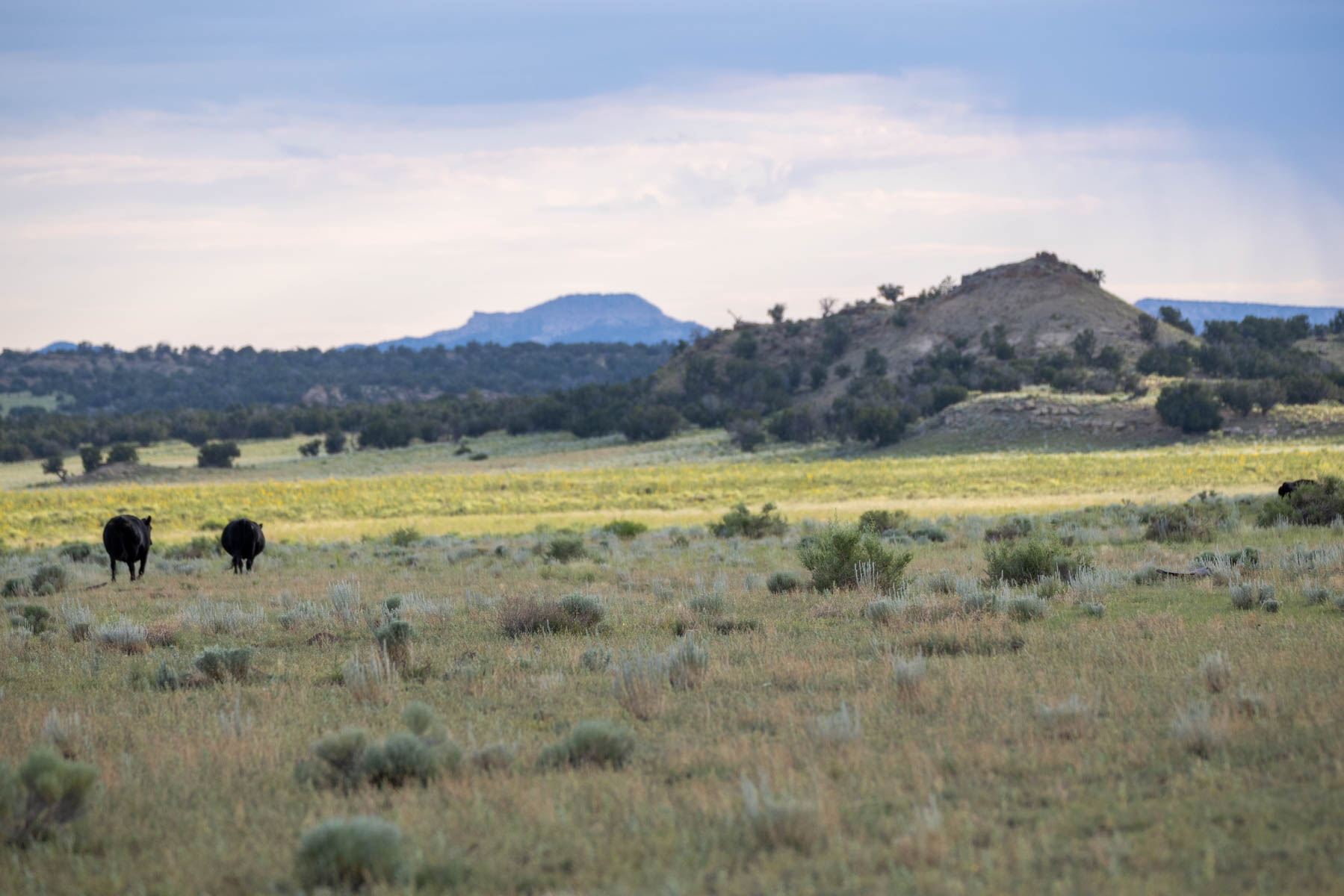 Great Western Ranch property picture 23 of 144