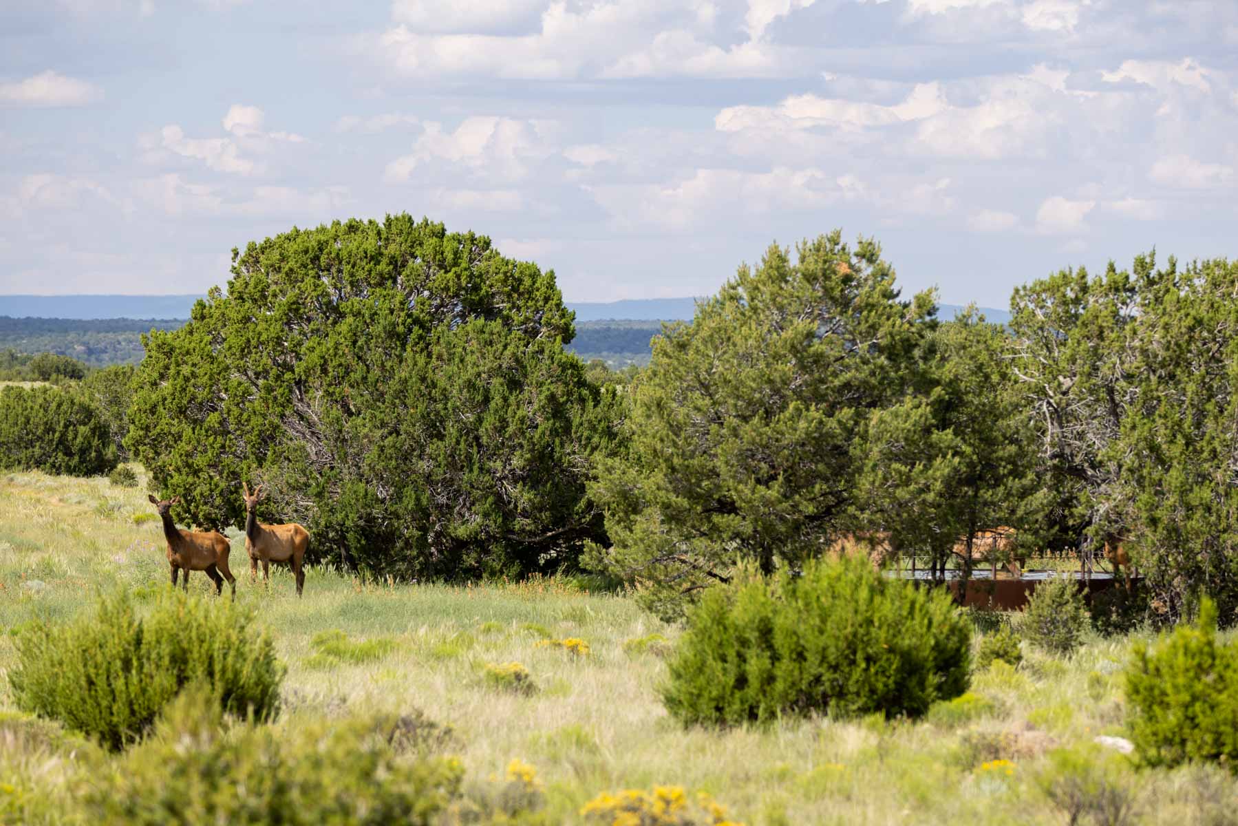 Great Western Ranch property picture 98 of 144