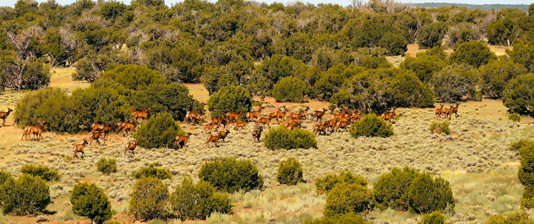 Great Western Ranch property picture 16 of 144