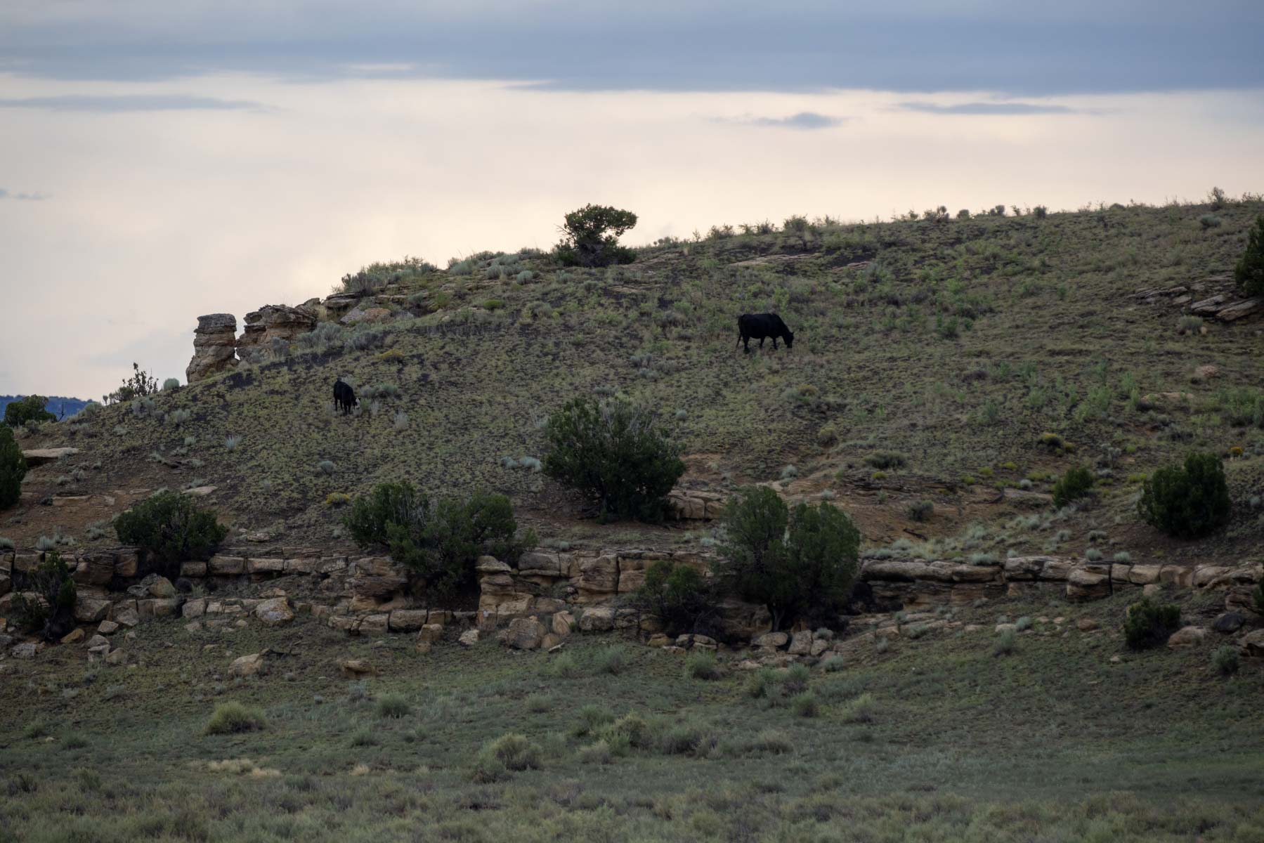 Great Western Ranch property picture 112 of 144