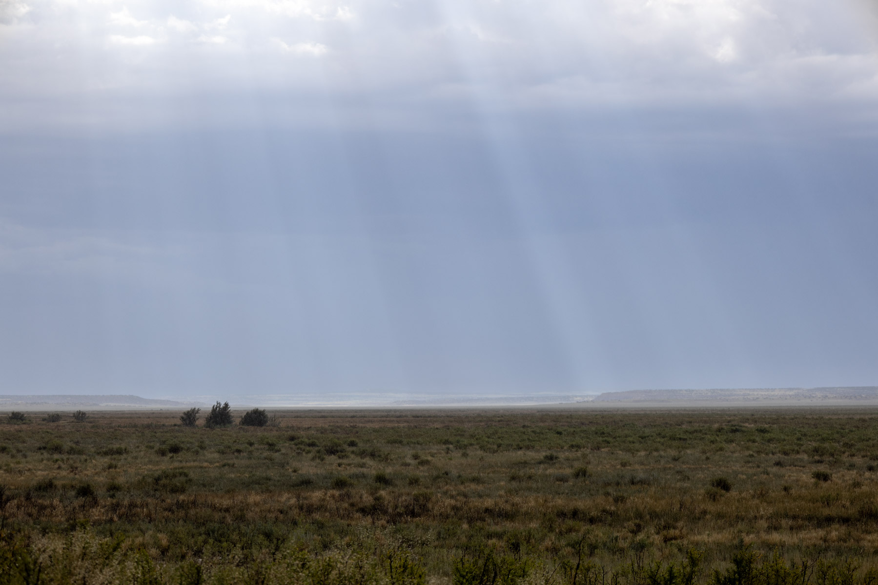 Great Western Ranch property picture 110 of 144