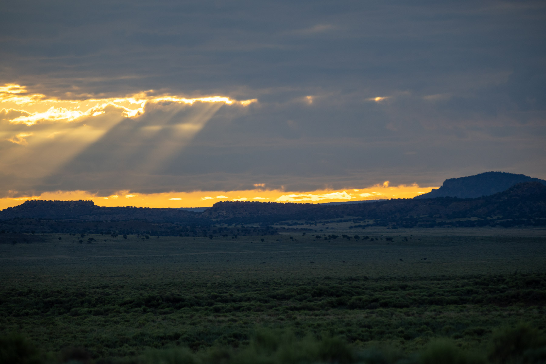 Great Western Ranch property picture 119 of 144