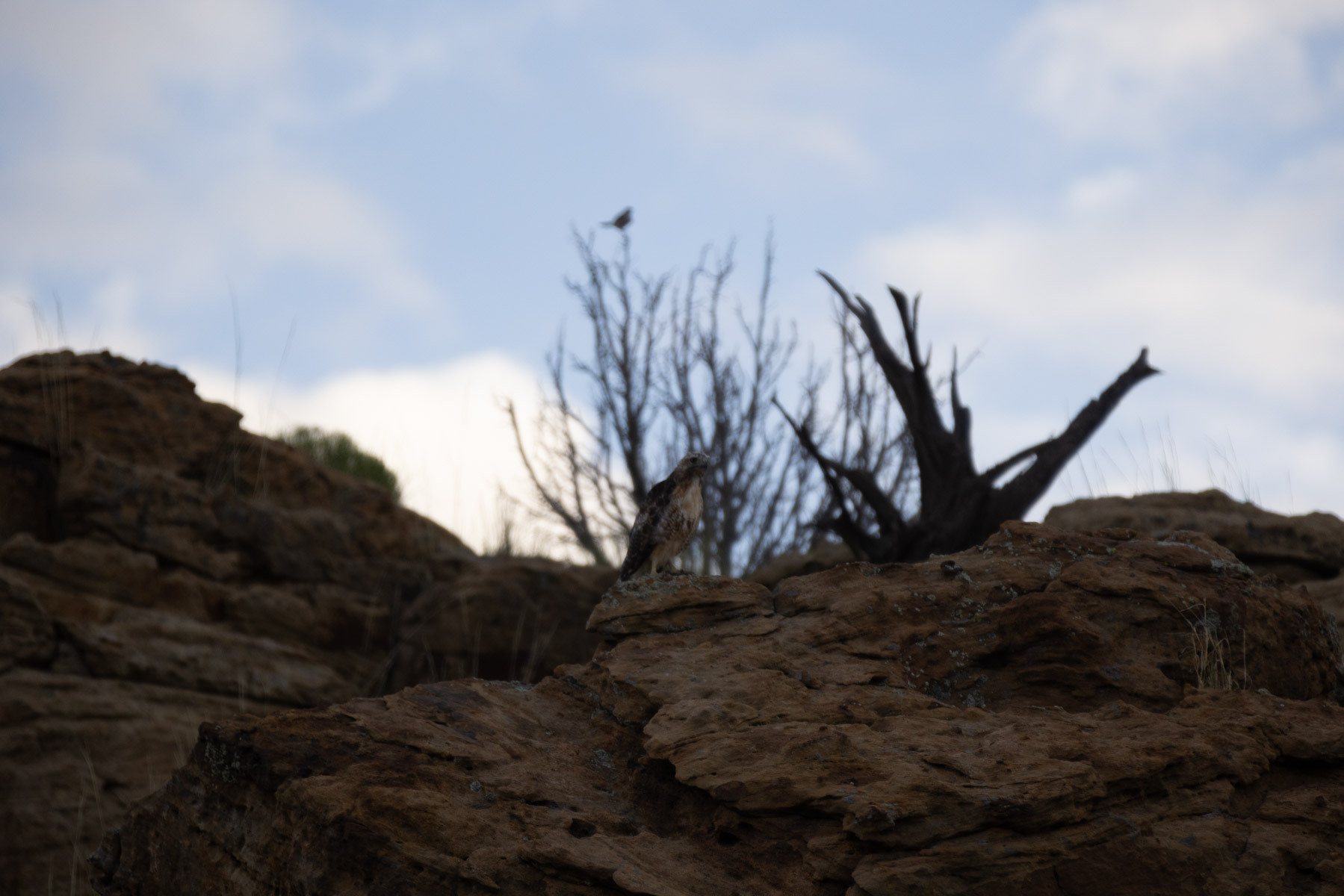 Great Western Ranch property picture 54 of 144