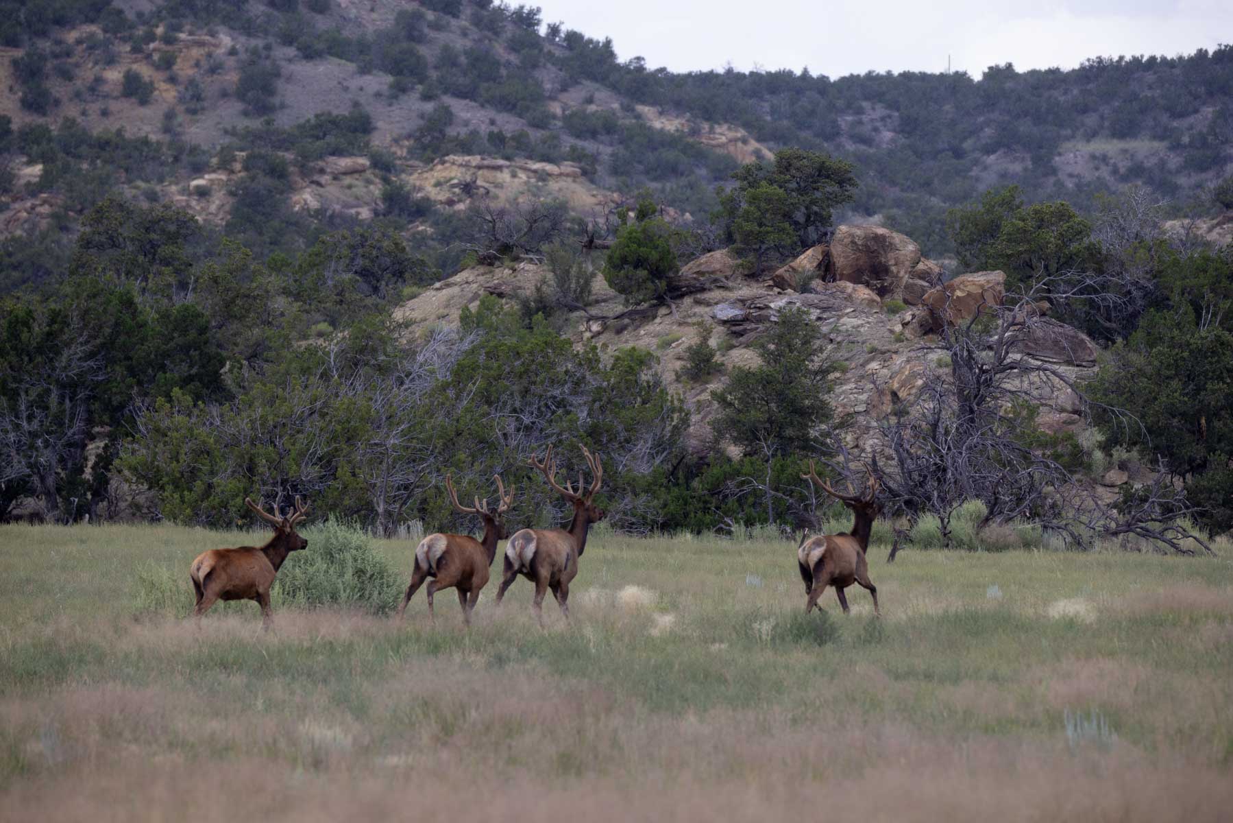 Great Western Ranch property picture 26 of 144