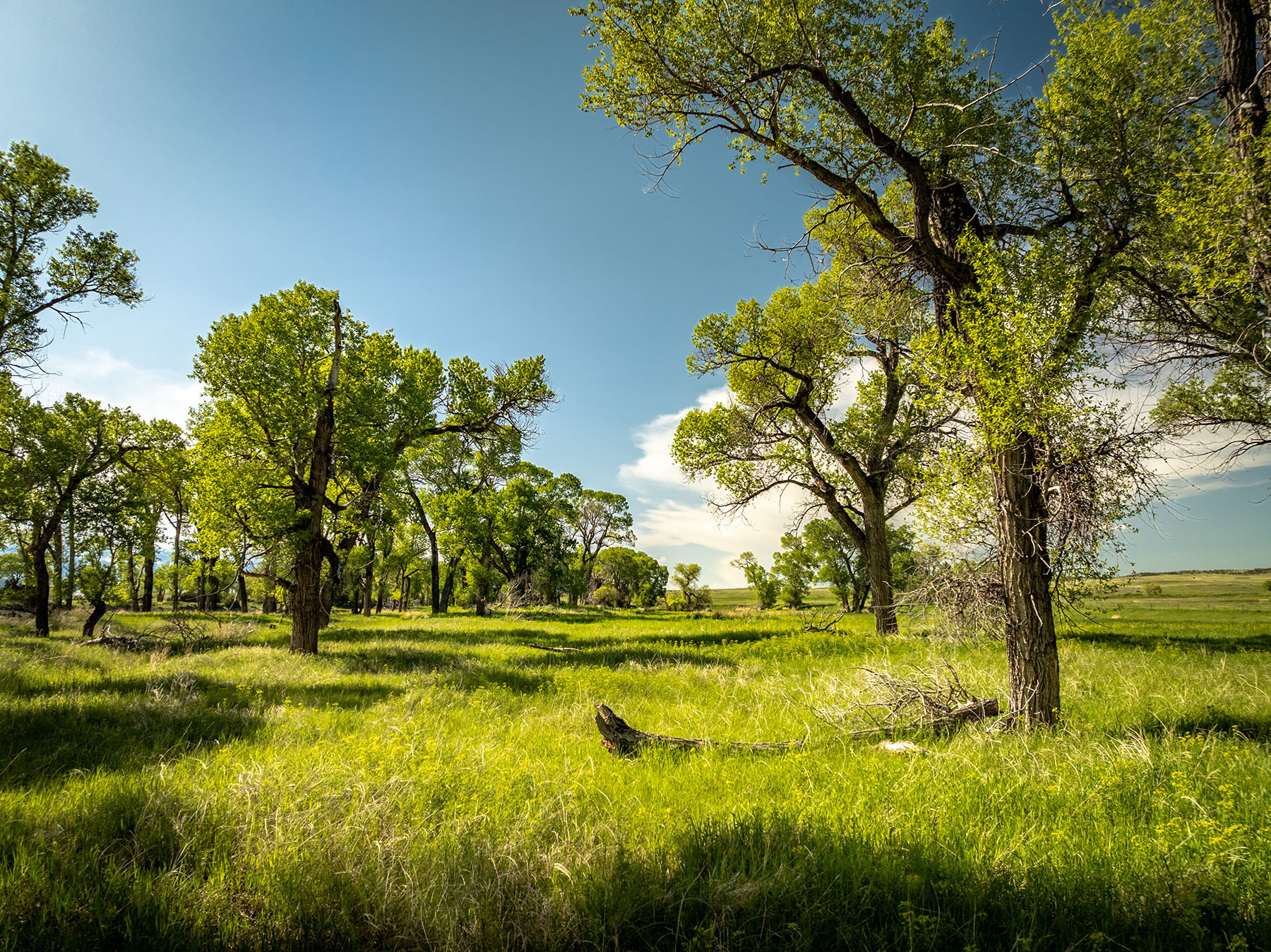 Yellowstone Bluff Ranch property picture 39 of 52