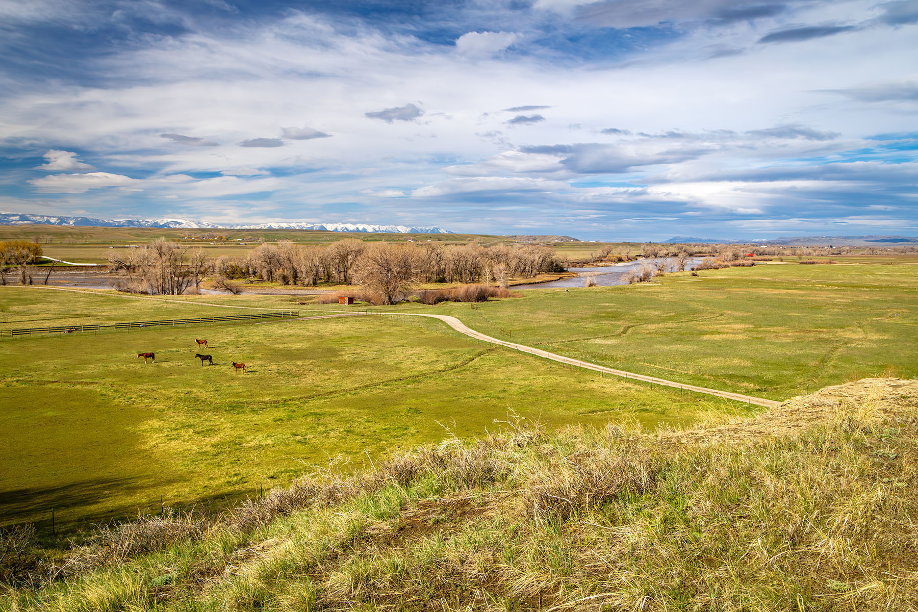 Yellowstone Bluff Ranch property picture 41 of 52